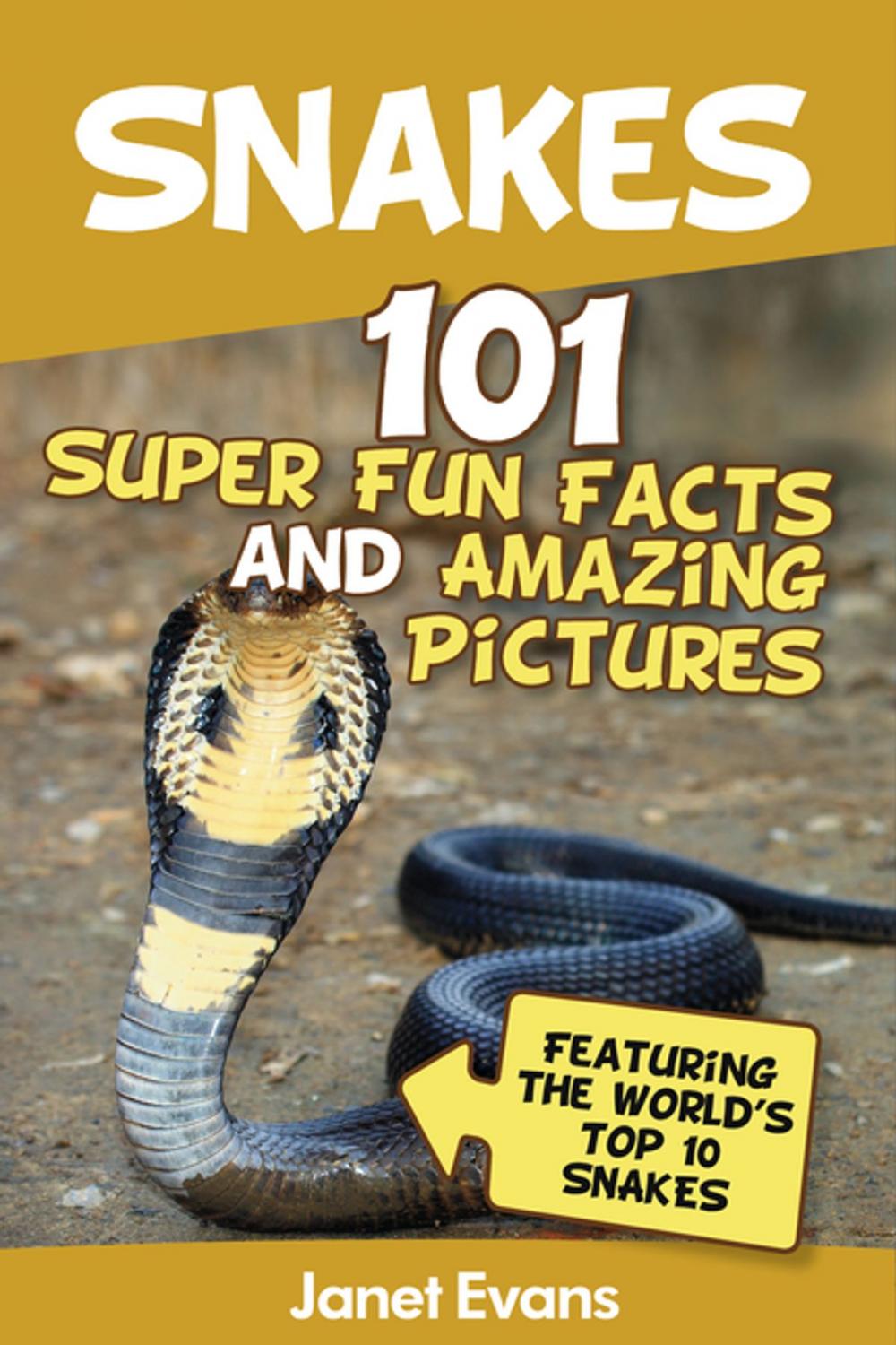 Big bigCover of Snakes: 101 Super Fun Facts And Amazing Pictures (Featuring The World's Top 10 Snakes)