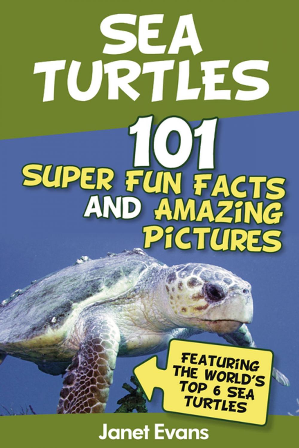 Big bigCover of Sea Turtles : 101 Super Fun Facts And Amazing Pictures (Featuring The World's Top 6 Sea Turtles)