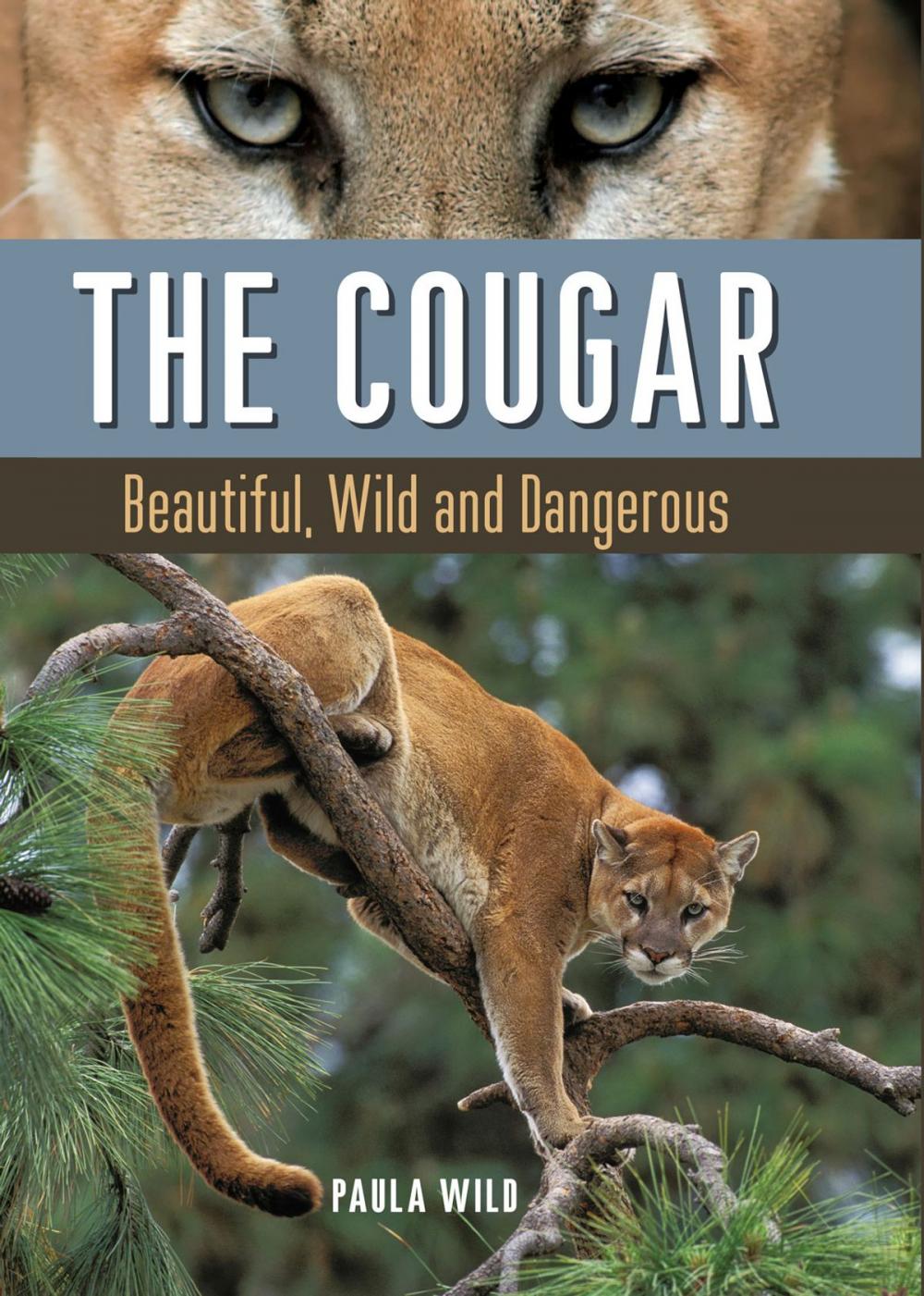 Big bigCover of The Cougar