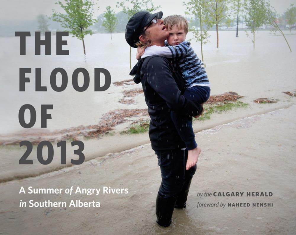 Big bigCover of The Flood of 2013