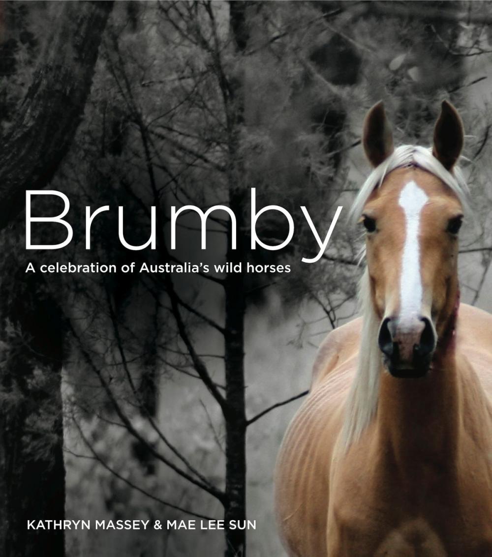 Big bigCover of Brumby