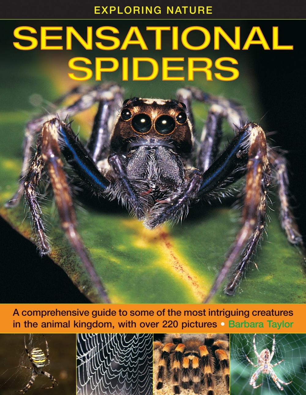 Big bigCover of Sensational Spiders