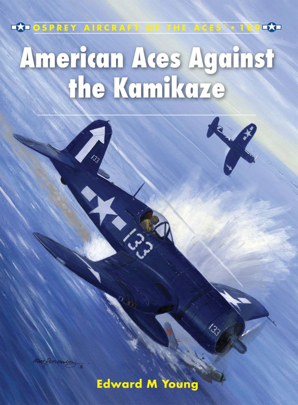 Big bigCover of American Aces against the Kamikaze