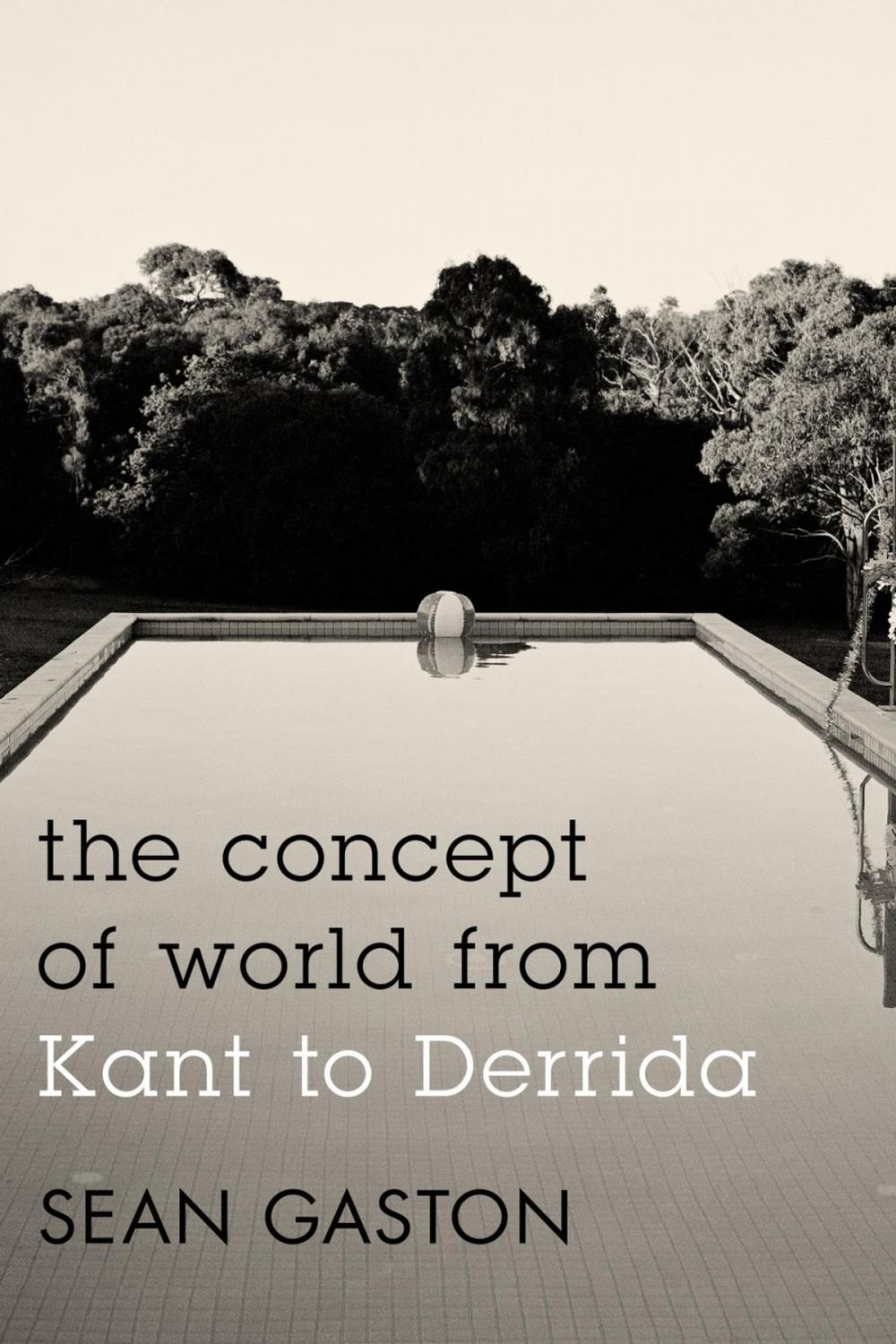 Big bigCover of The Concept of World from Kant to Derrida