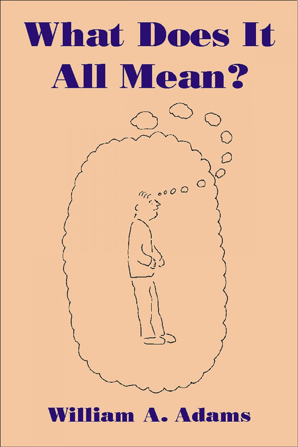 Big bigCover of What Does It All Mean?