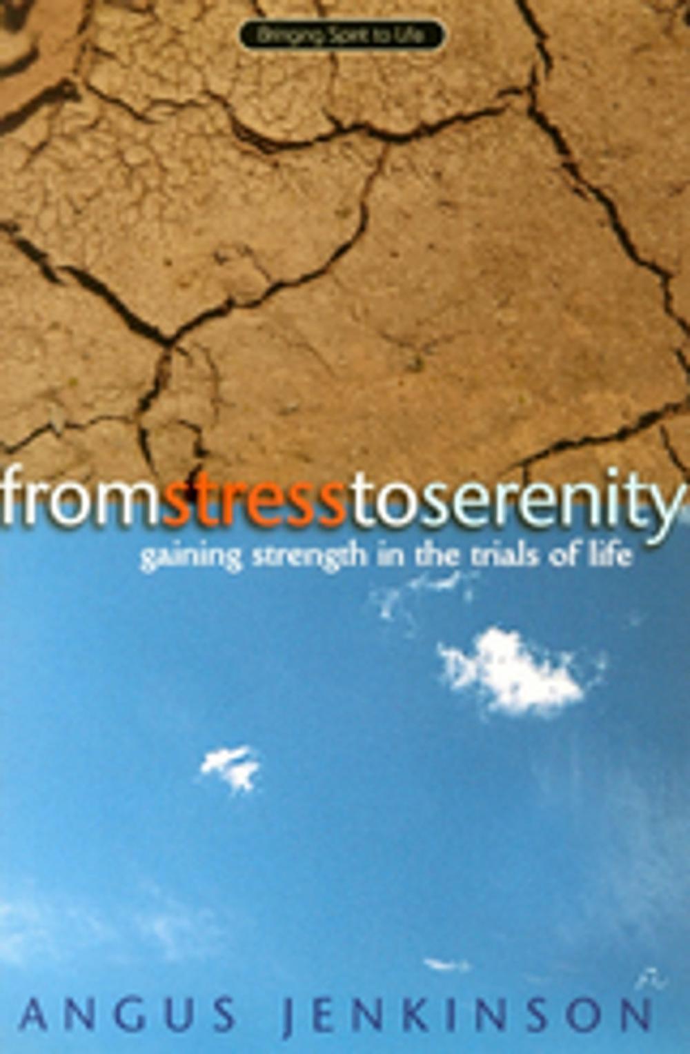 Big bigCover of From Stress to Serenity