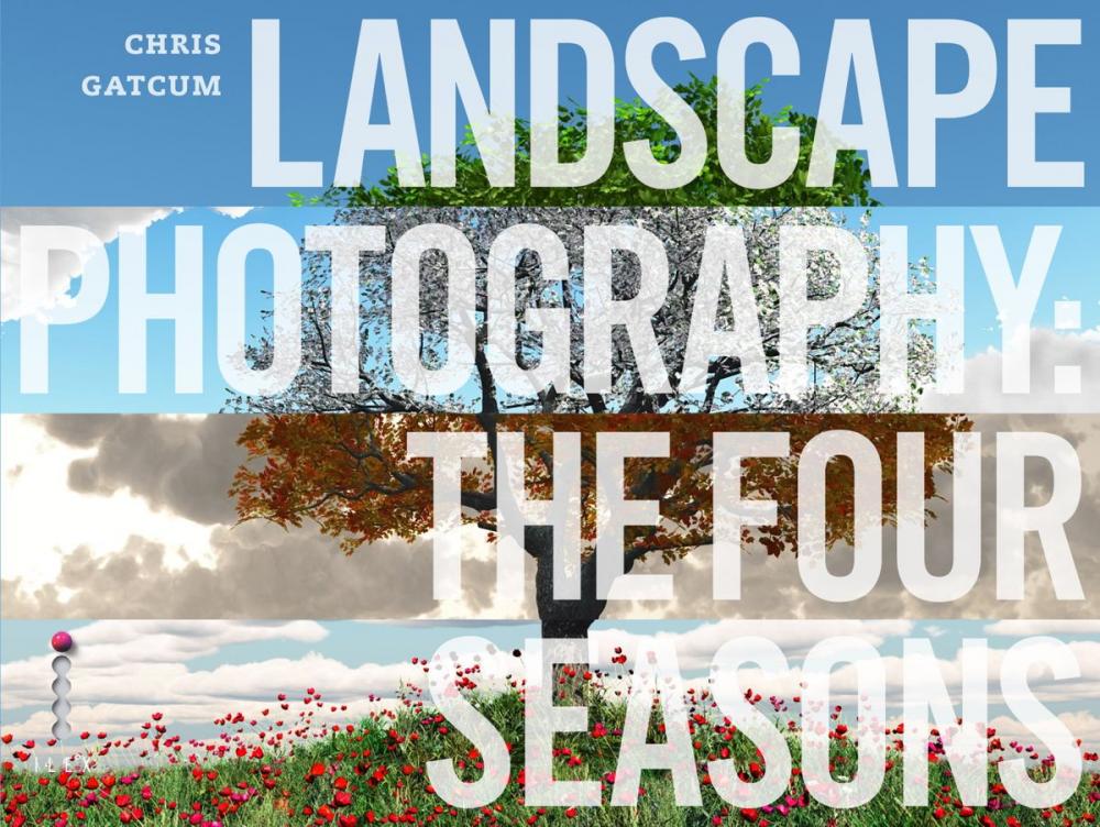 Big bigCover of Landscape Photography