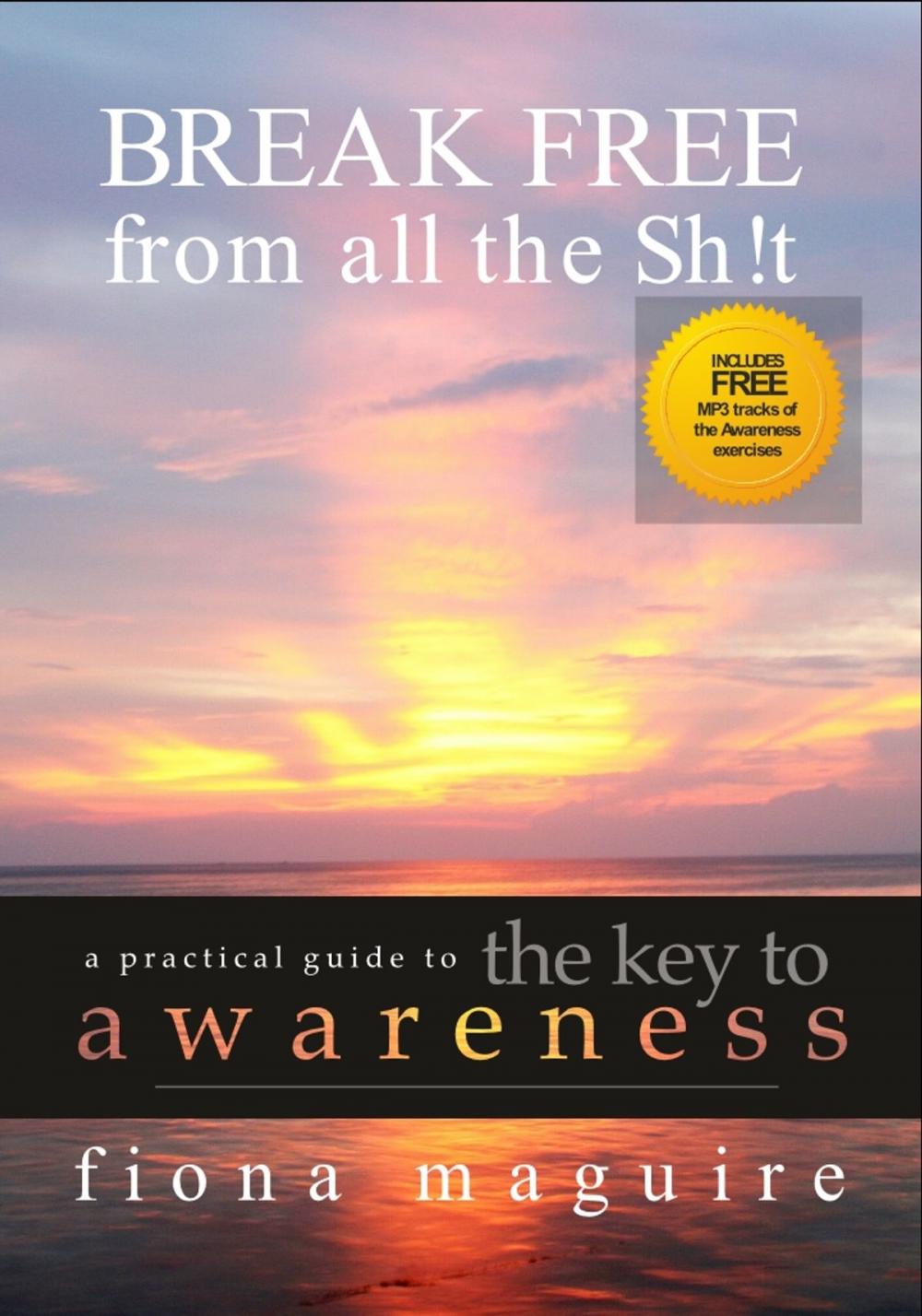 Big bigCover of The Key to Awareness