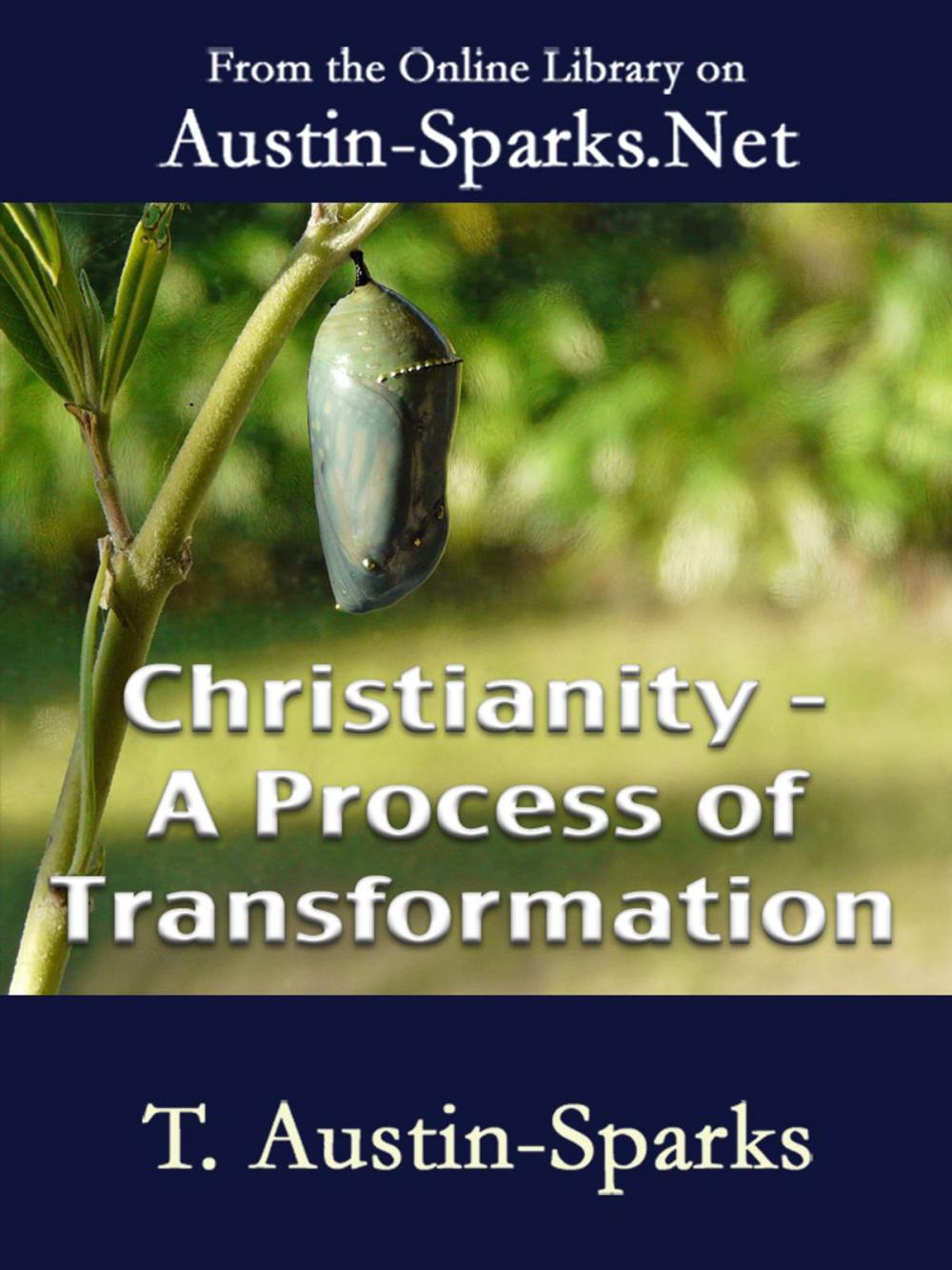 Big bigCover of Christianity - A Process of Transformation