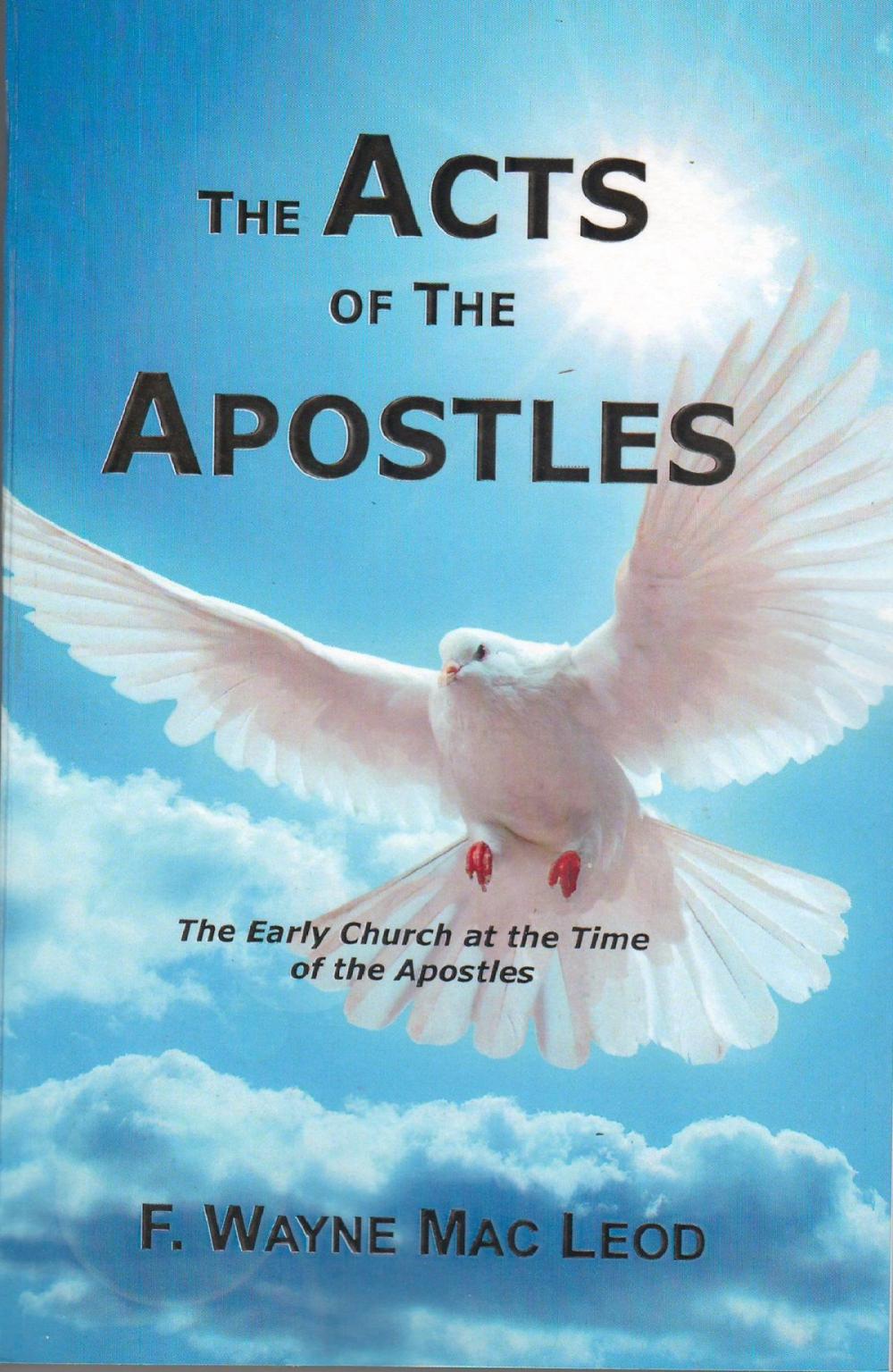 Big bigCover of The Acts of the Apostles