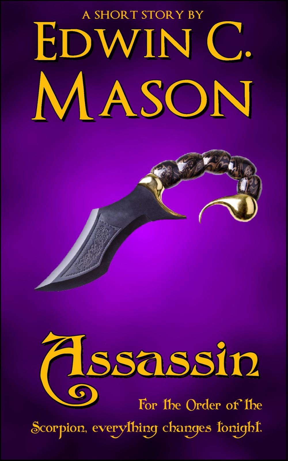 Big bigCover of Assassin