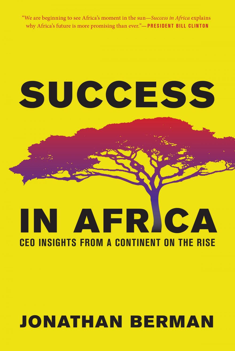 Big bigCover of Success in Africa