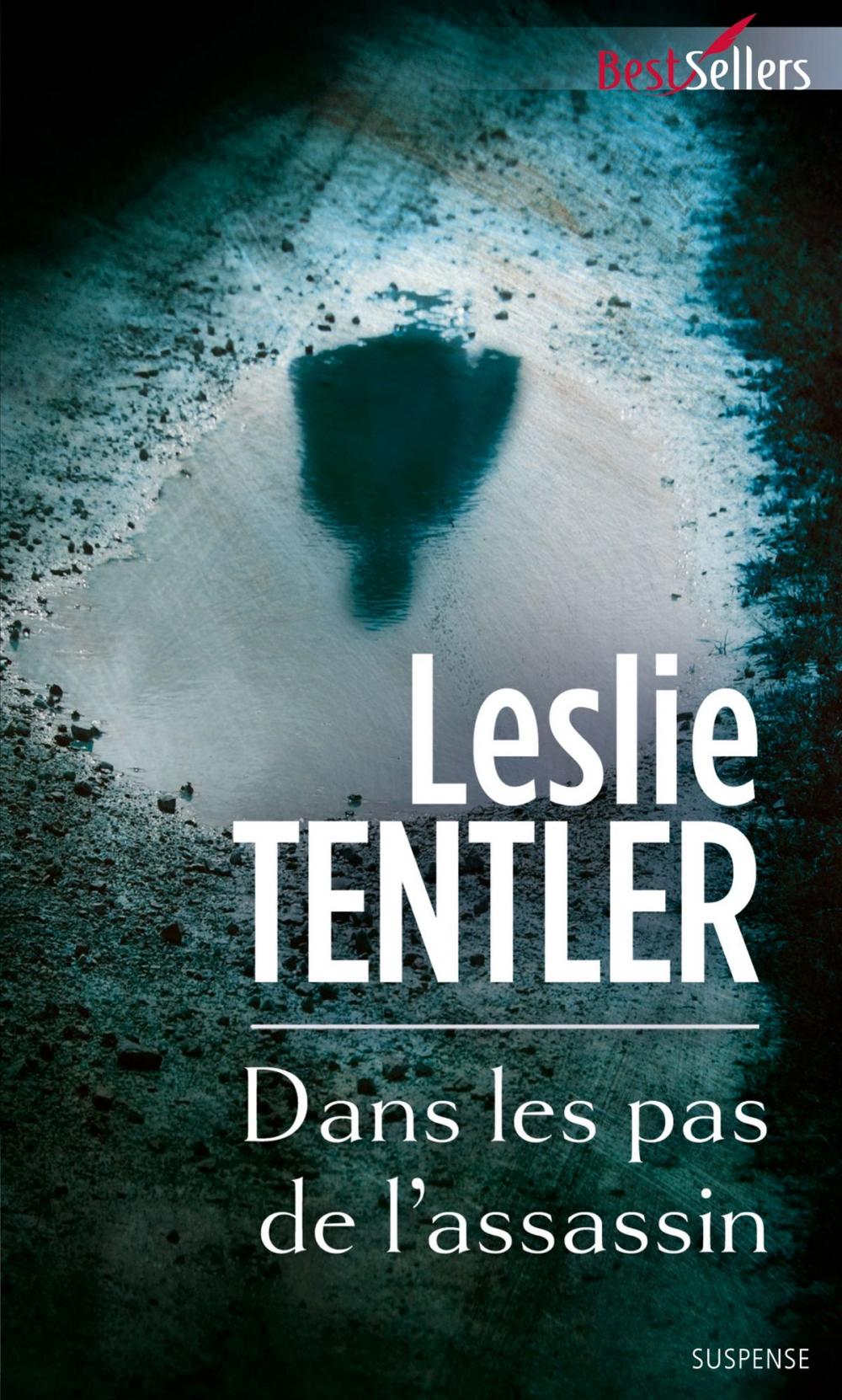 Big bigCover of Dans les pas de l'assassin