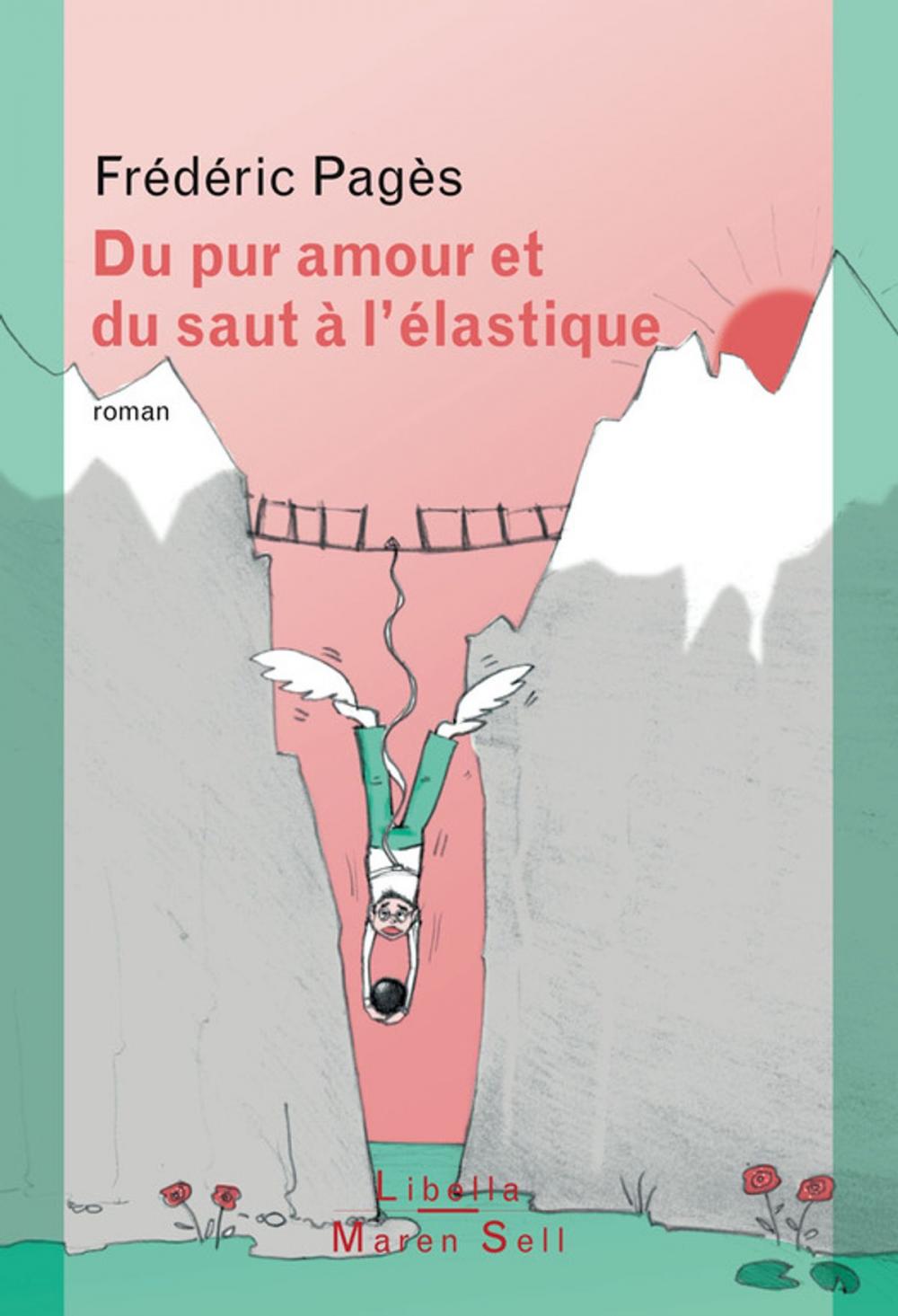 Big bigCover of Du pur amour et du saut à l'élastique