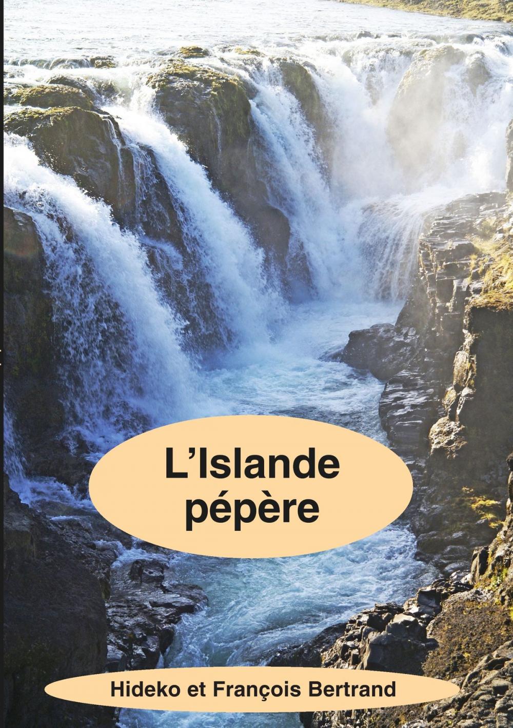 Big bigCover of L'Islande pépère