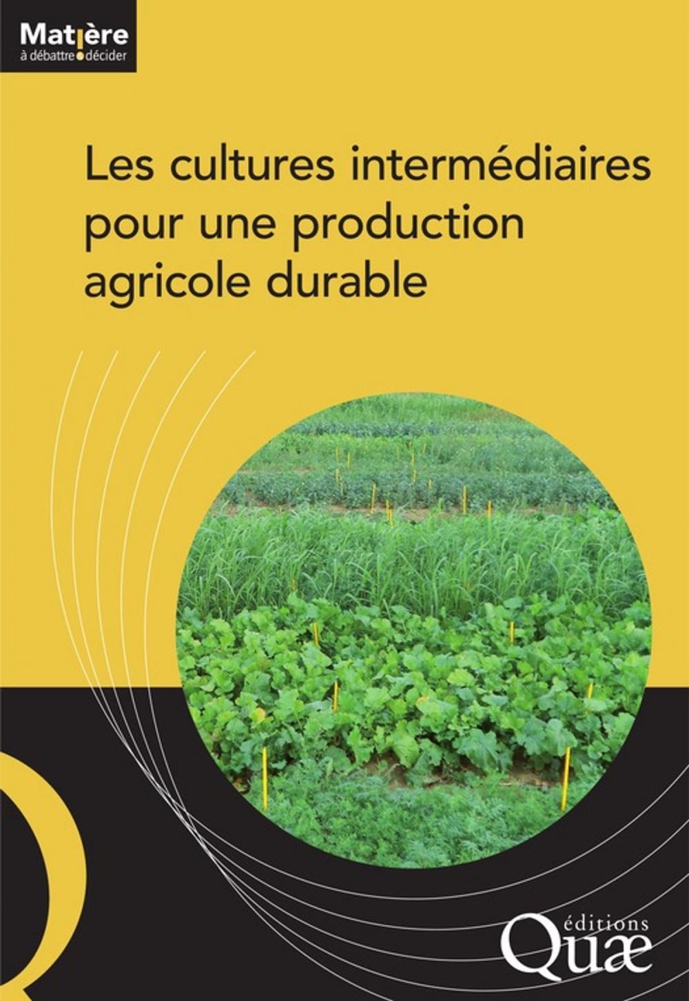 Big bigCover of Les cultures intermédiaires pour une production agricole durable