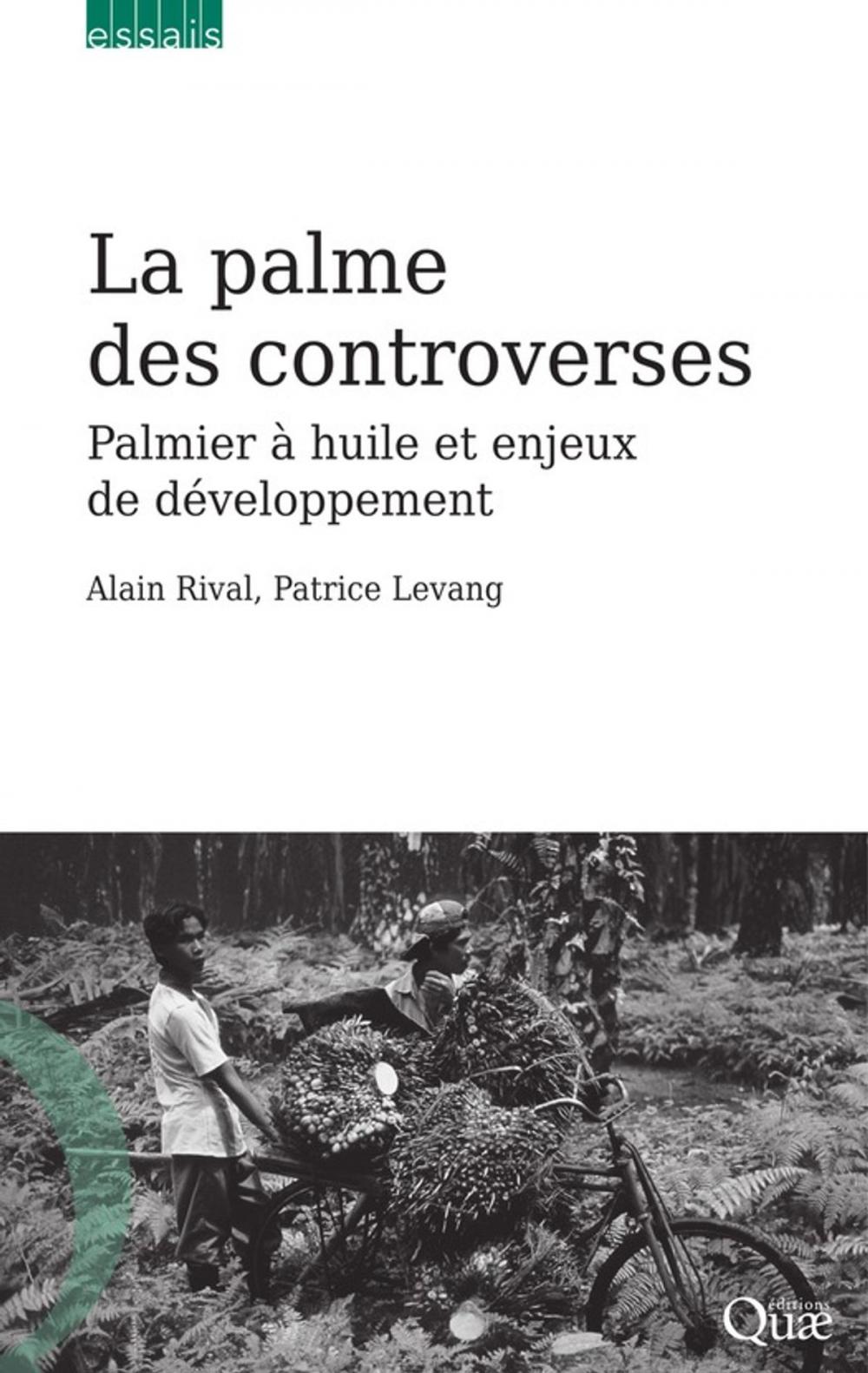 Big bigCover of La palme des controverses