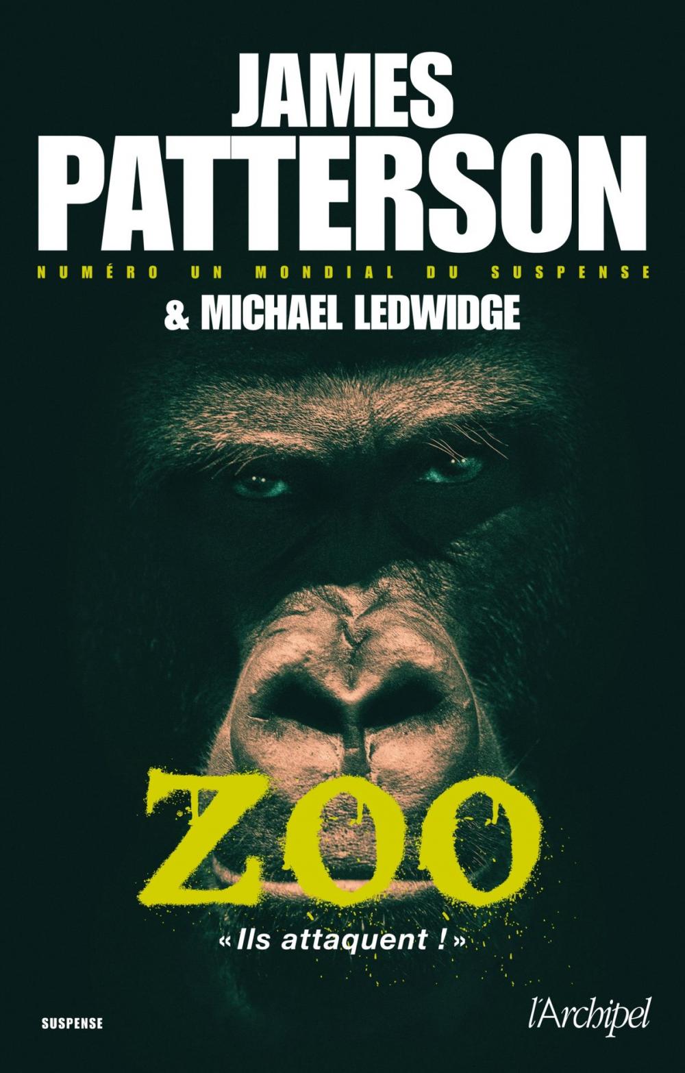 Big bigCover of Zoo