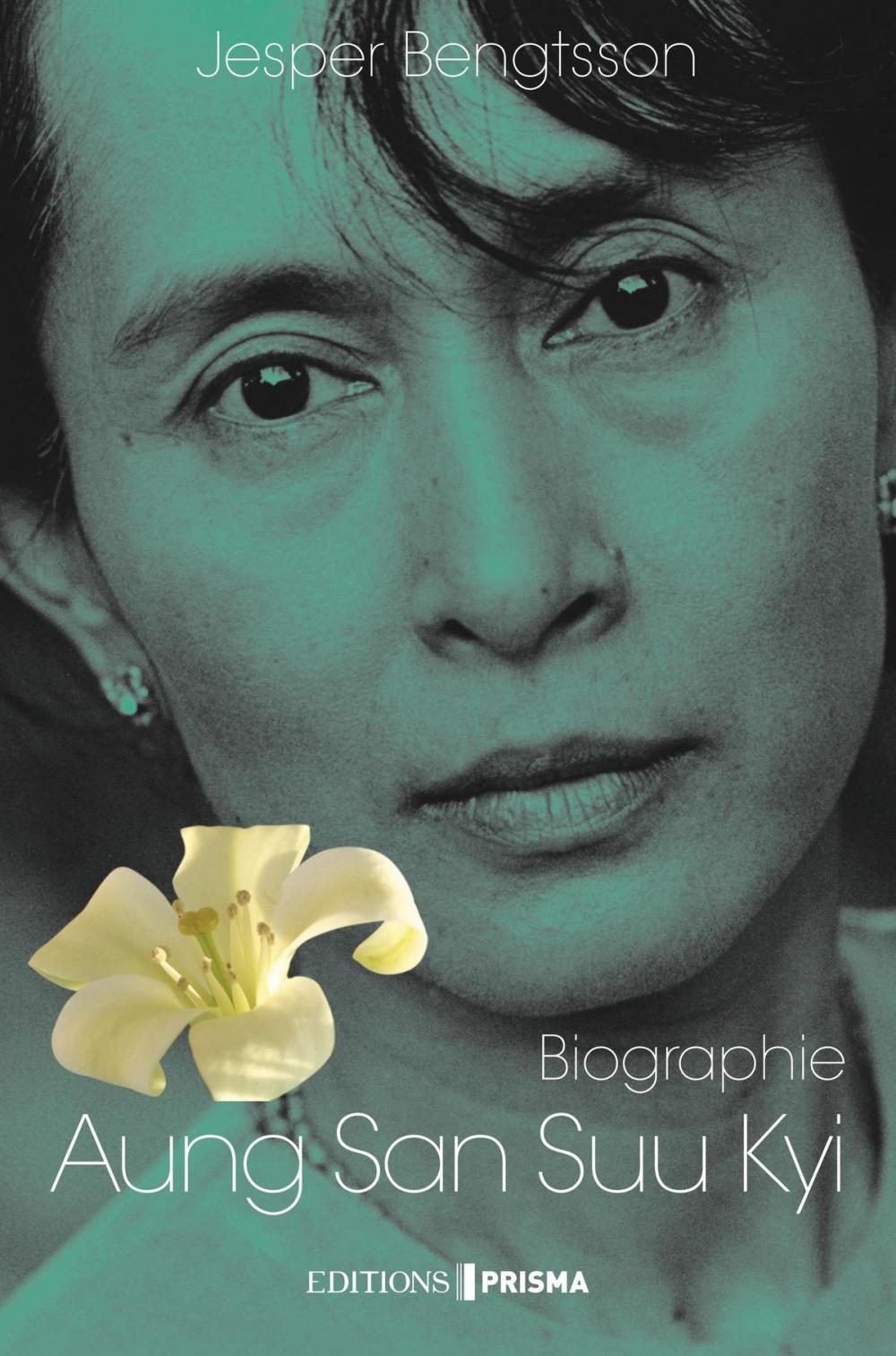 Big bigCover of Aung San Suu Kyi Un pays, une femme, un destin