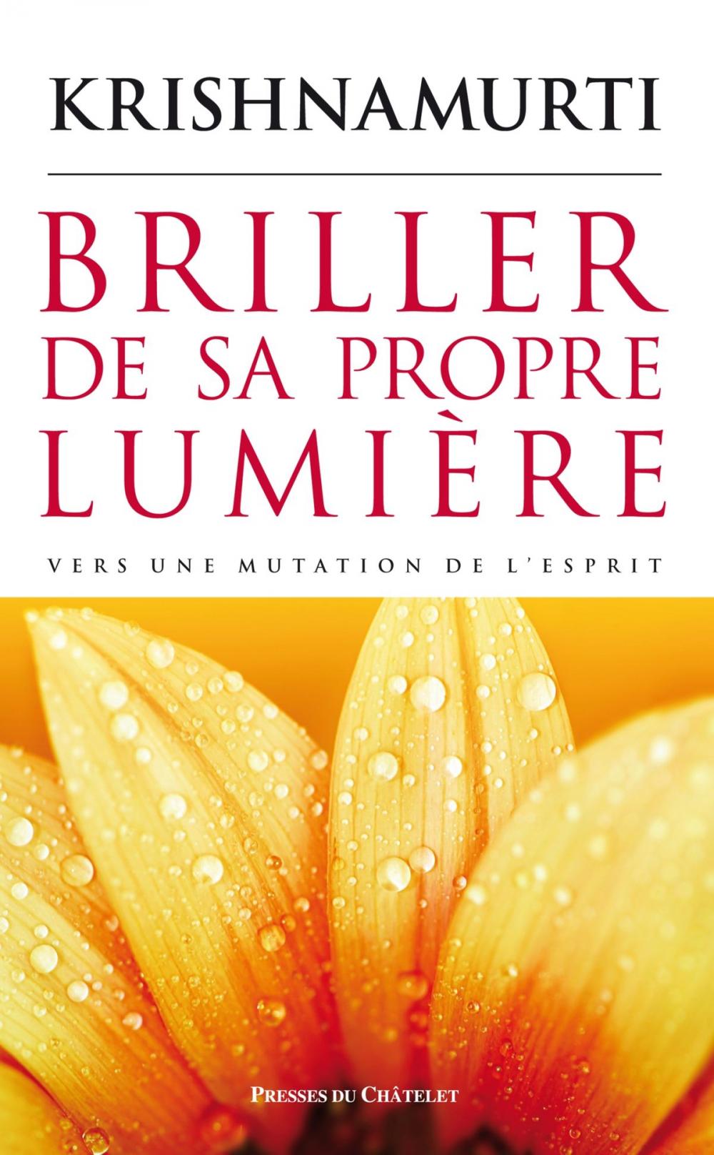 Big bigCover of Briller de sa propre lumière