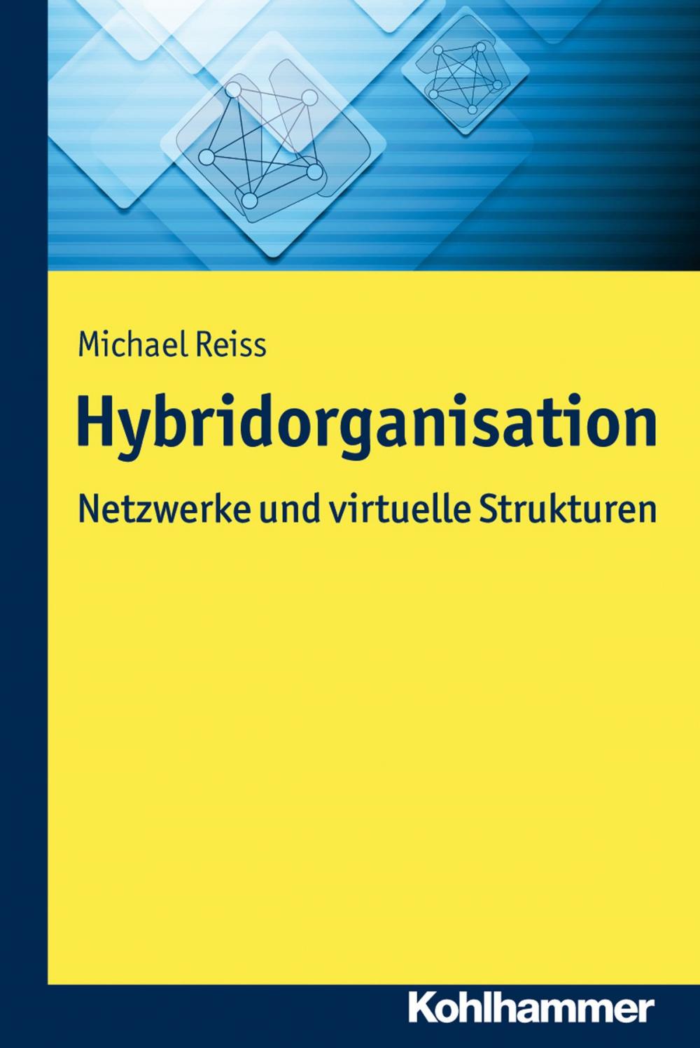 Big bigCover of Hybridorganisation