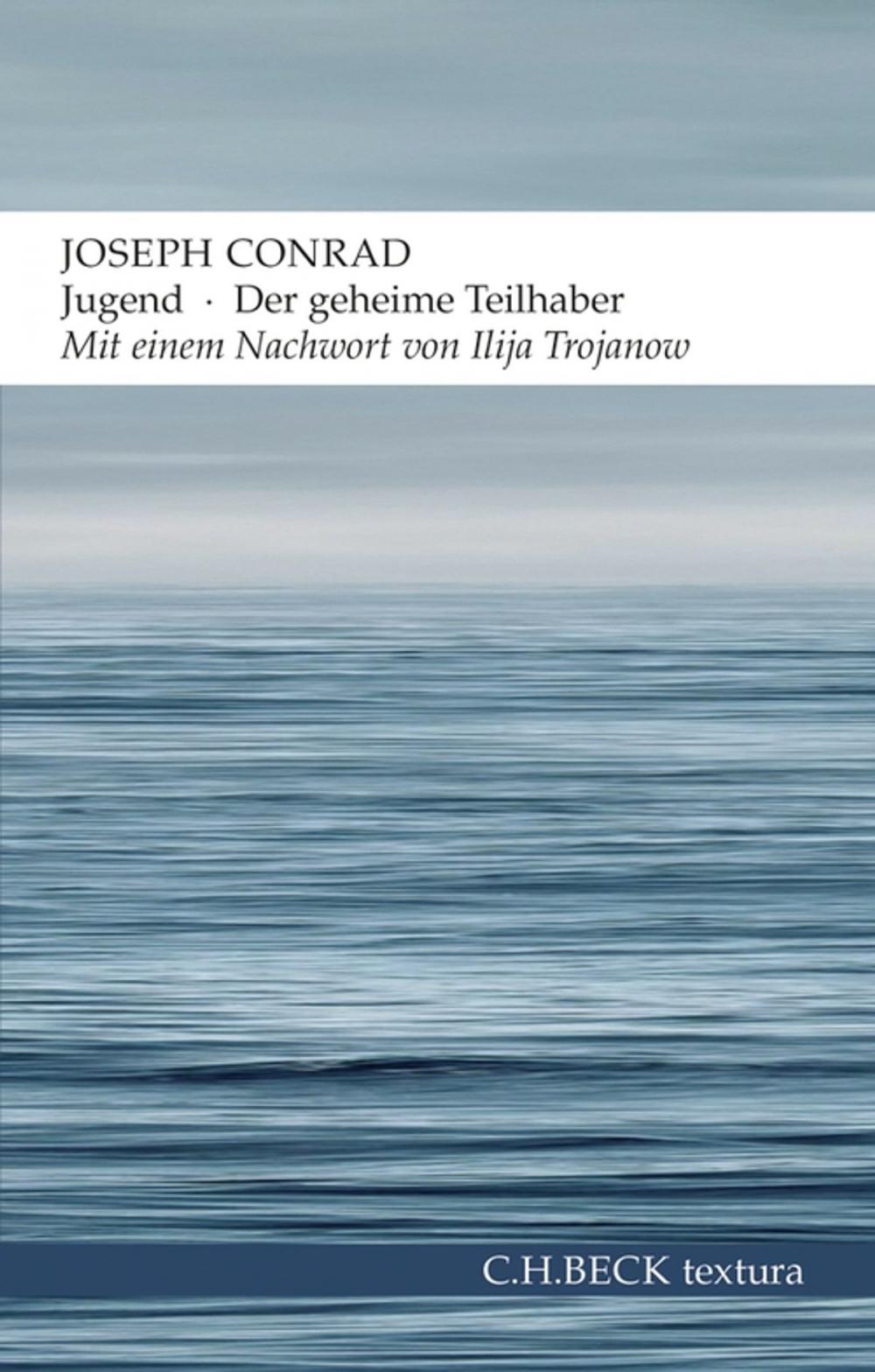 Big bigCover of Jugend - Der geheime Teilhaber