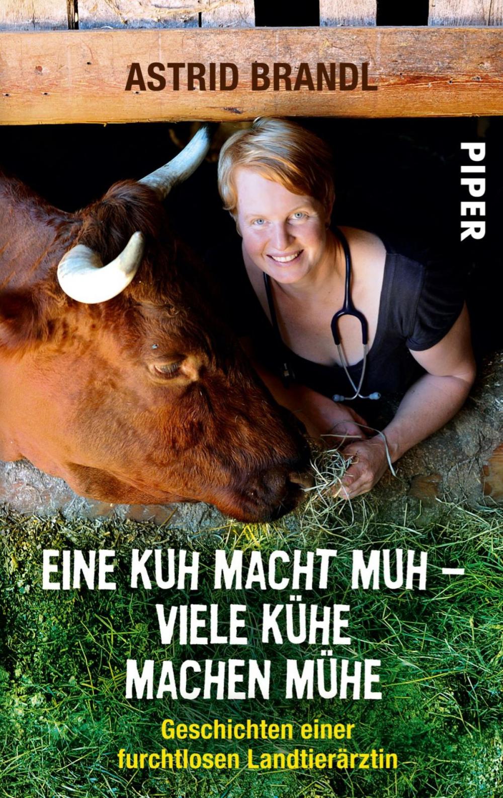 Big bigCover of Eine Kuh macht Muh - viele Kühe machen Mühe