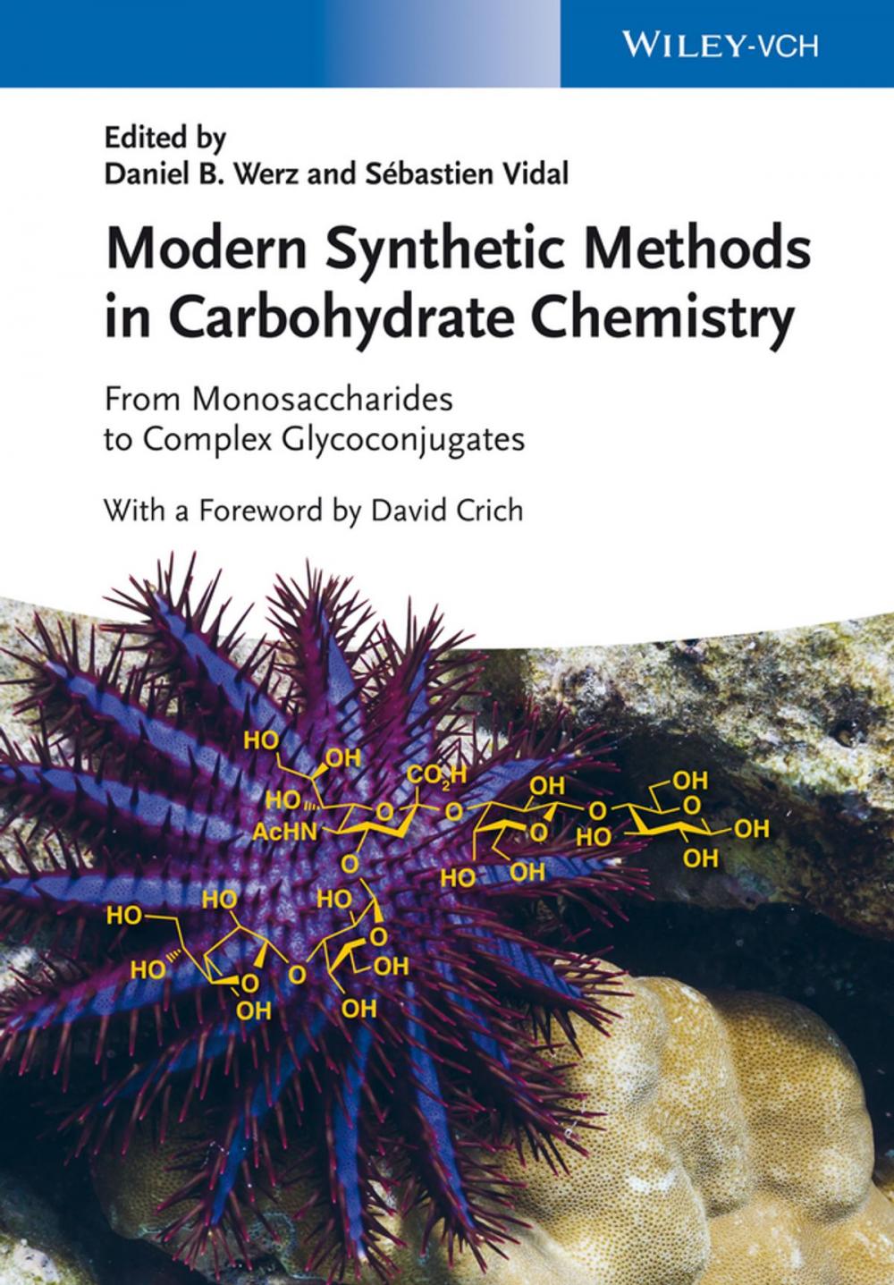 Big bigCover of Modern Synthetic Methods in Carbohydrate Chemistry