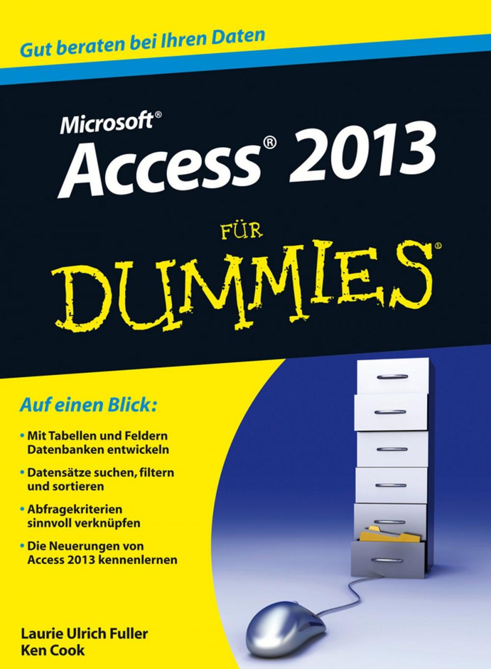 Big bigCover of Access 2013 für Dummies