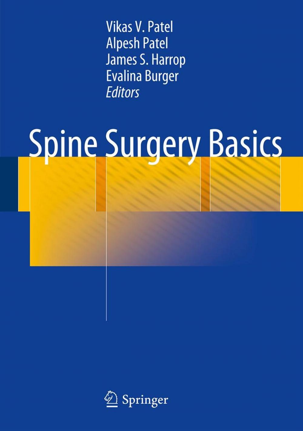 Big bigCover of Spine Surgery Basics