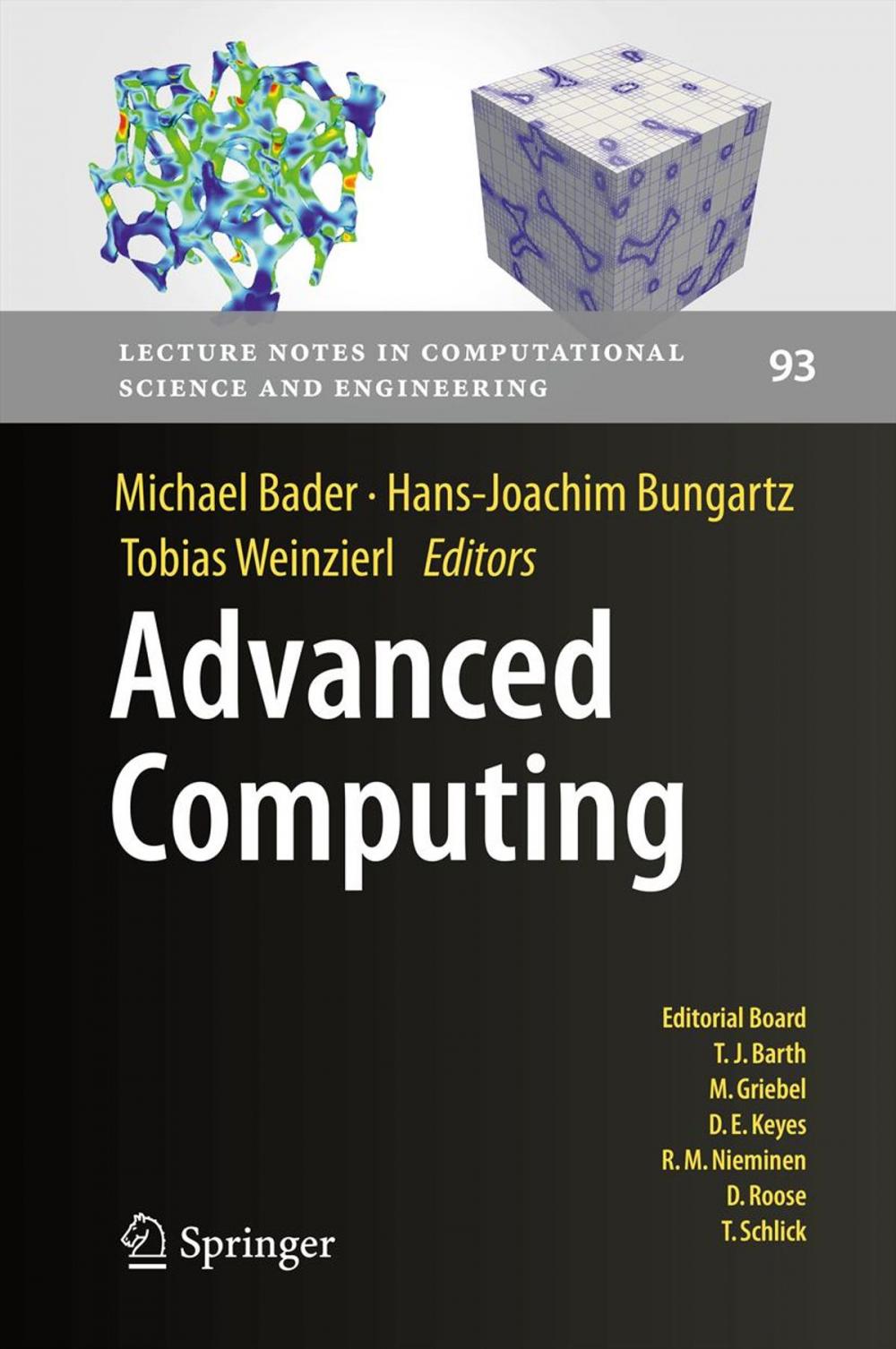 Big bigCover of Advanced Computing