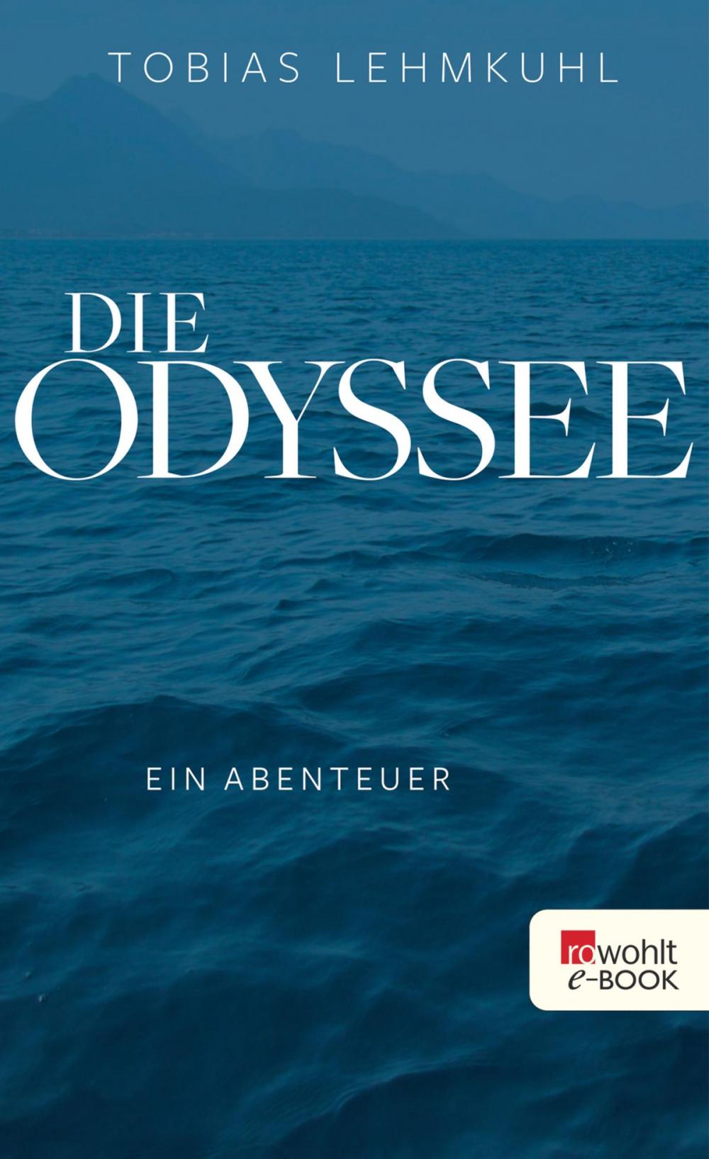 Big bigCover of Die Odyssee