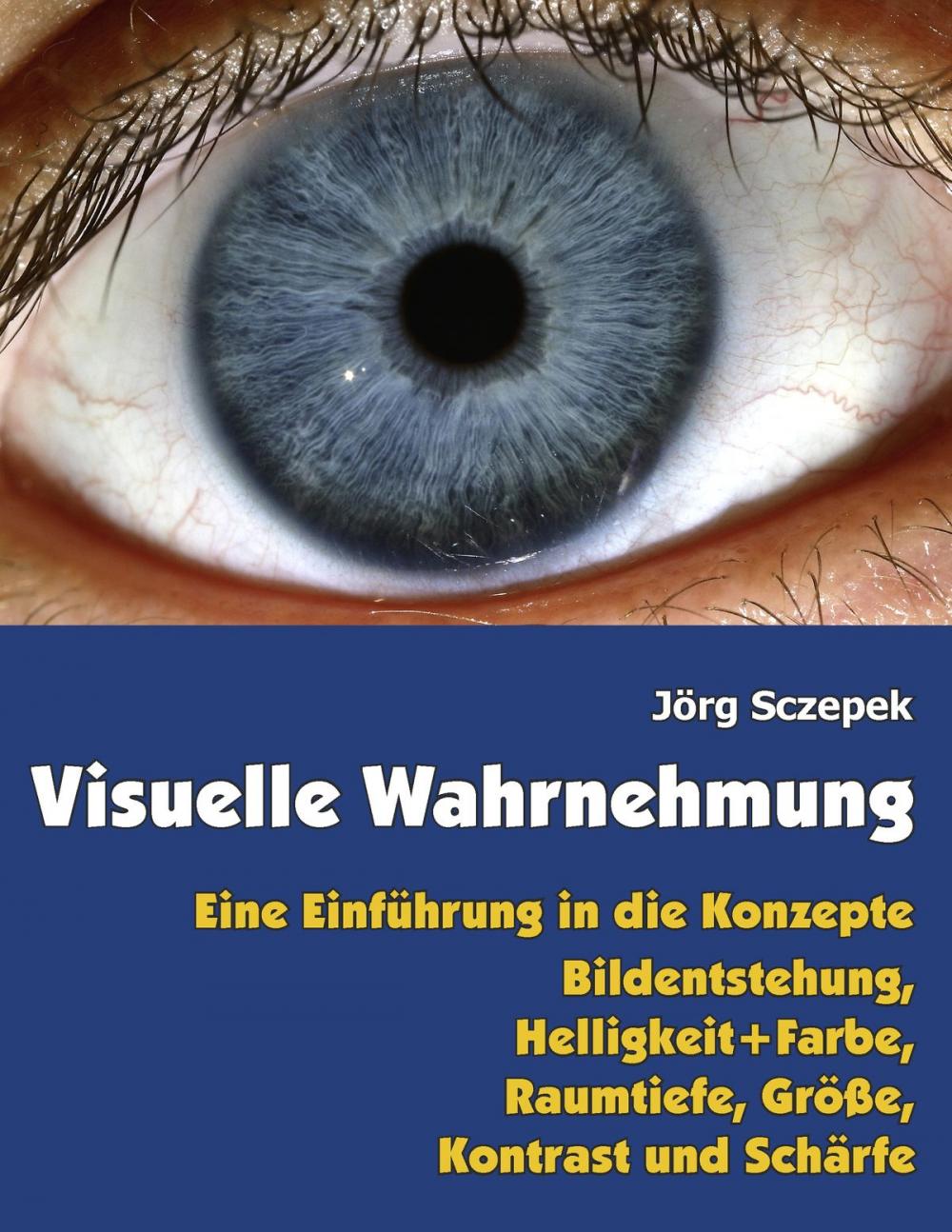 Big bigCover of Visuelle Wahrnehmung