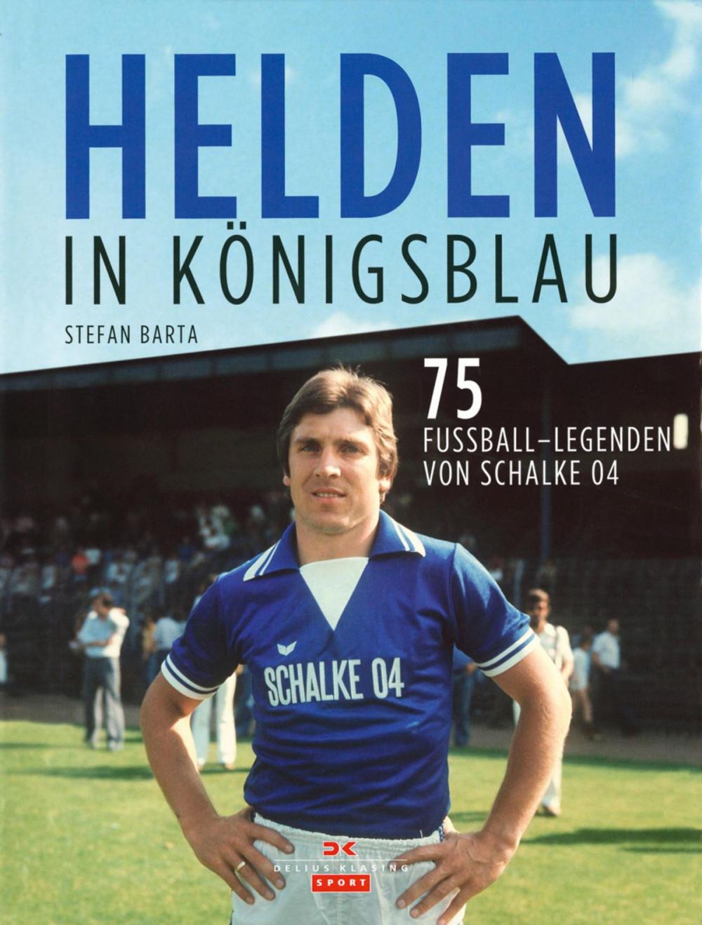 Big bigCover of Helden in Königsblau