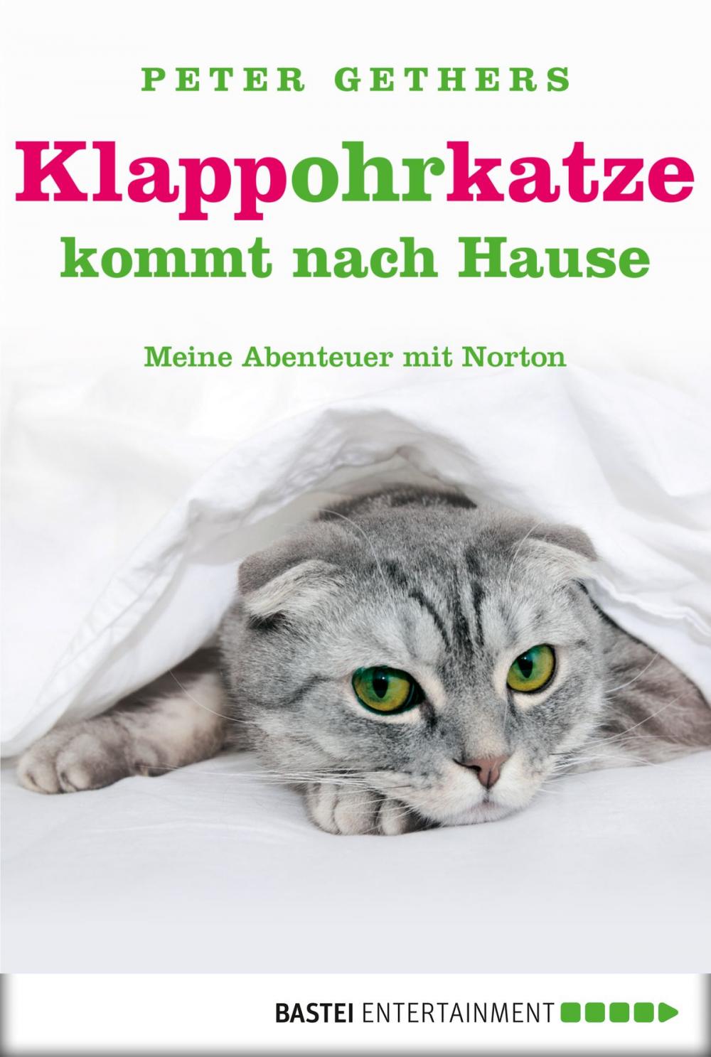 Big bigCover of Klappohrkatze kommt nach Hause