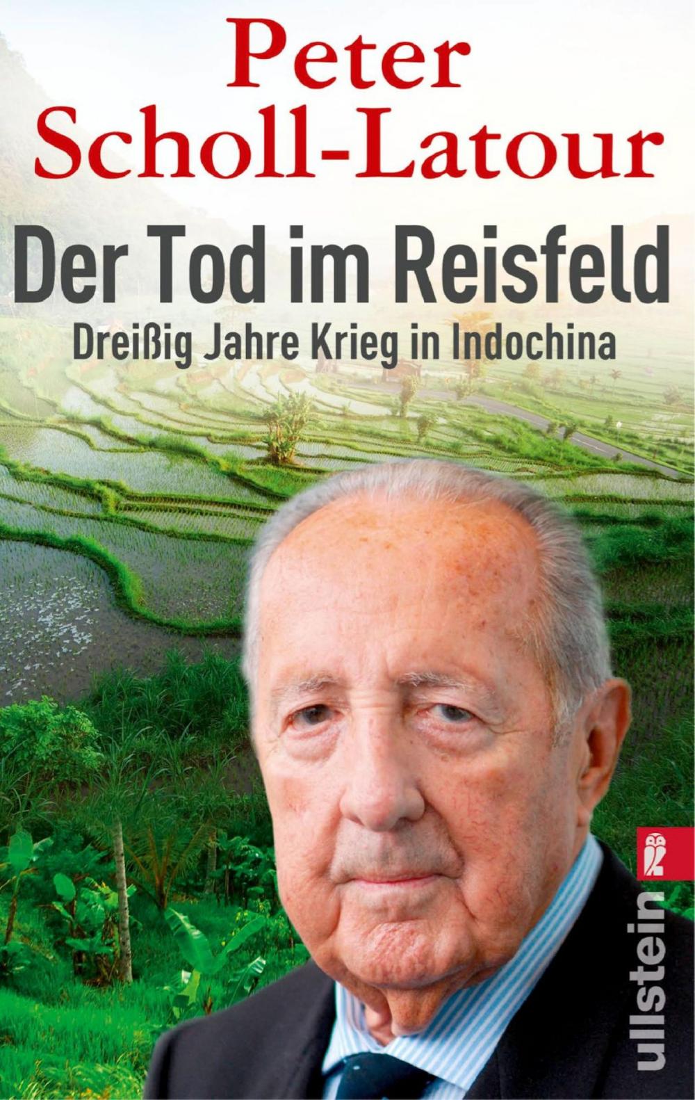 Big bigCover of Der Tod im Reisfeld