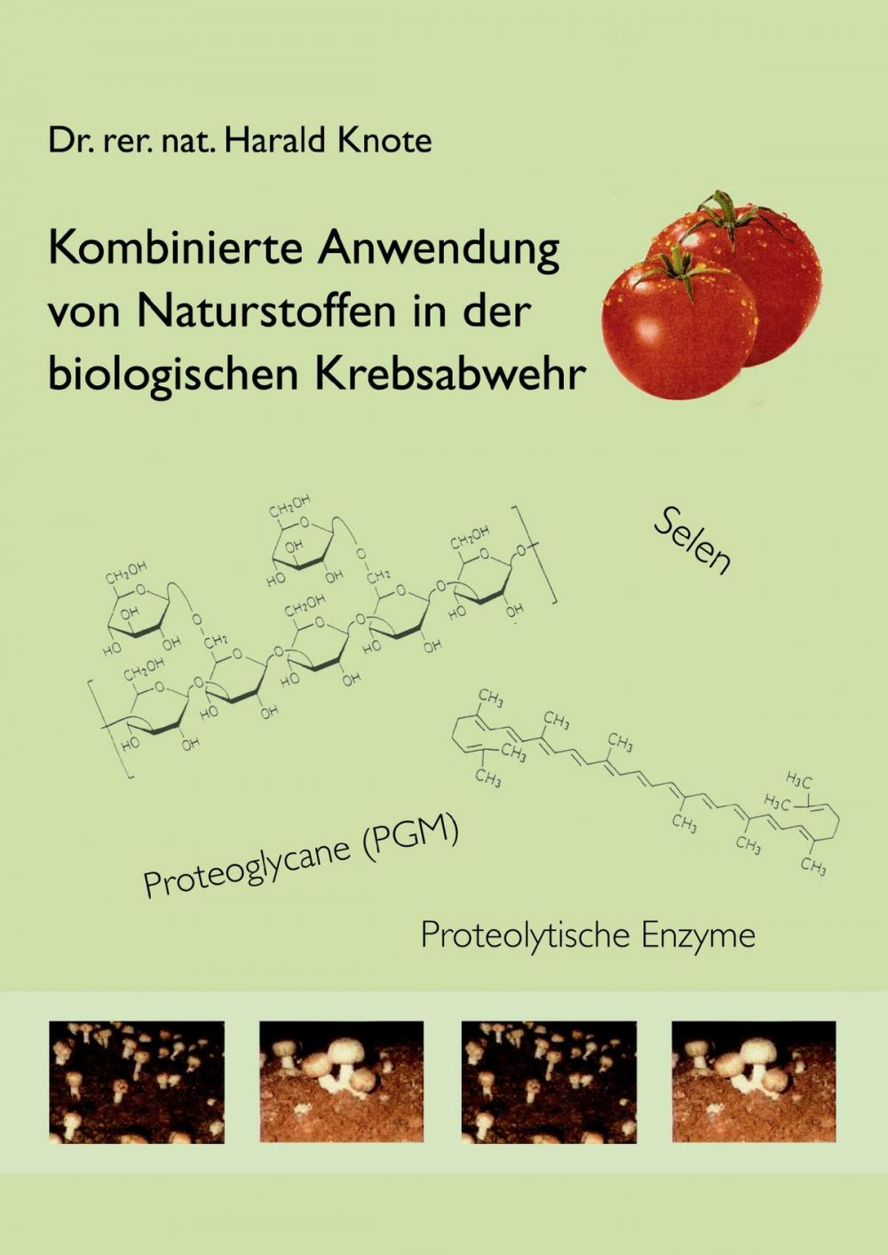 Big bigCover of Kombinierte Anwendung von Naturstoffen in der biologischen Krebsabwehr