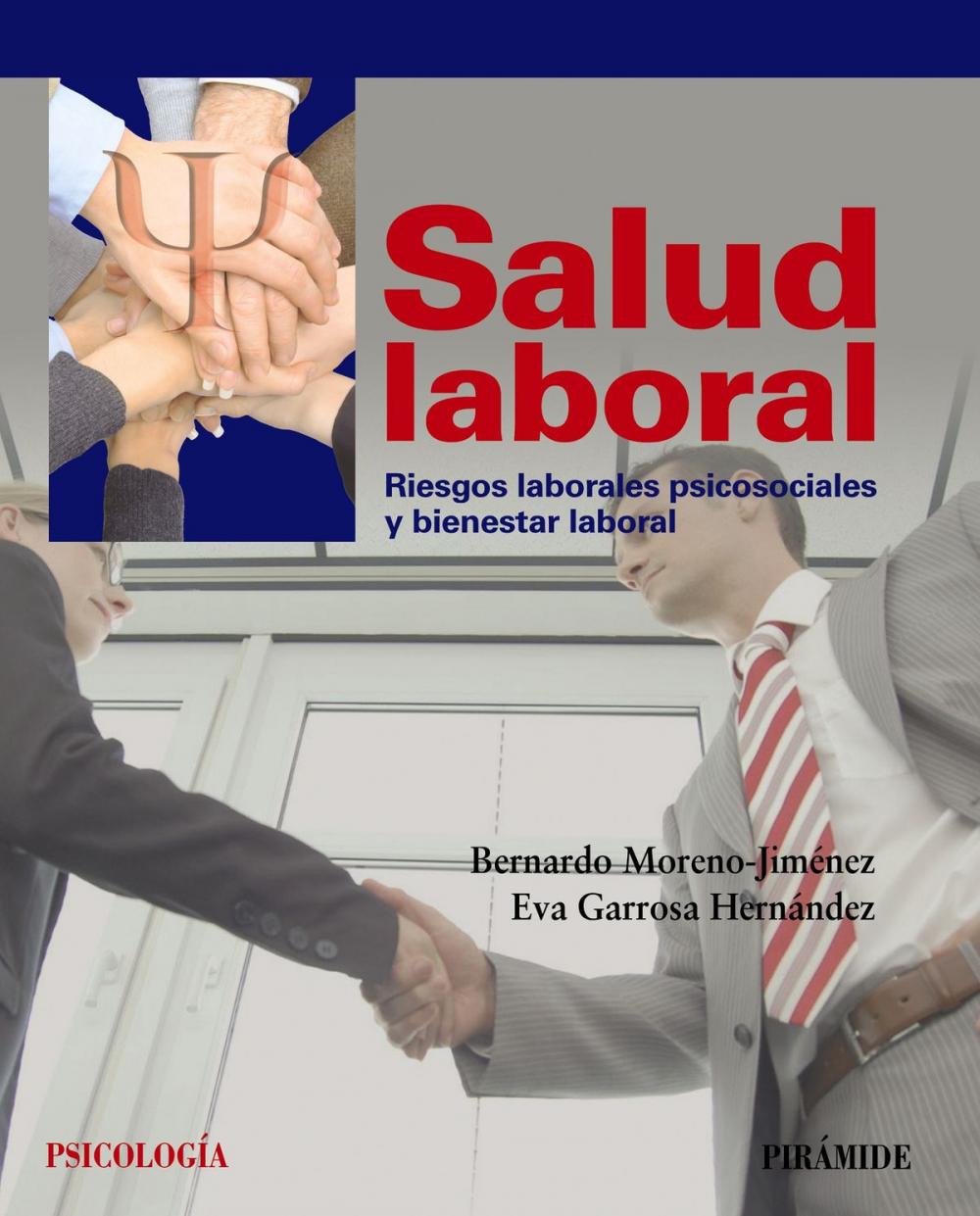 Big bigCover of Salud laboral