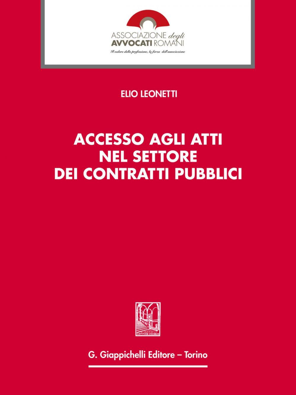 Big bigCover of Accesso agli atti nel settore dei contratti pubblici