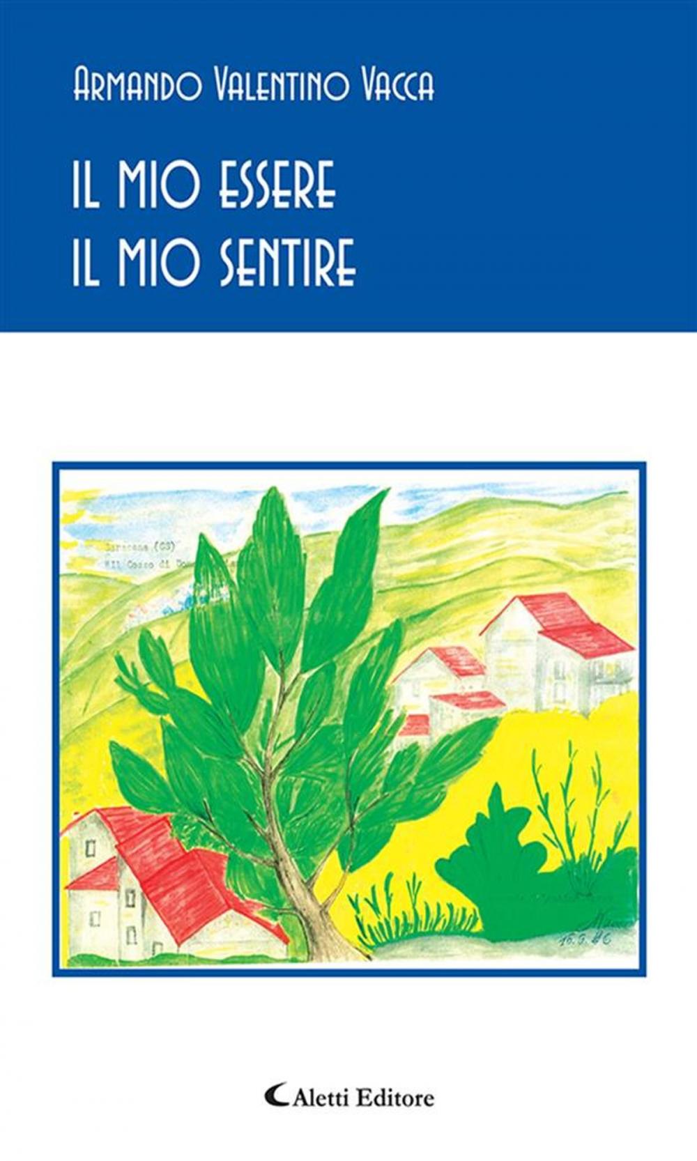 Big bigCover of Il mio essere Il mio sentire