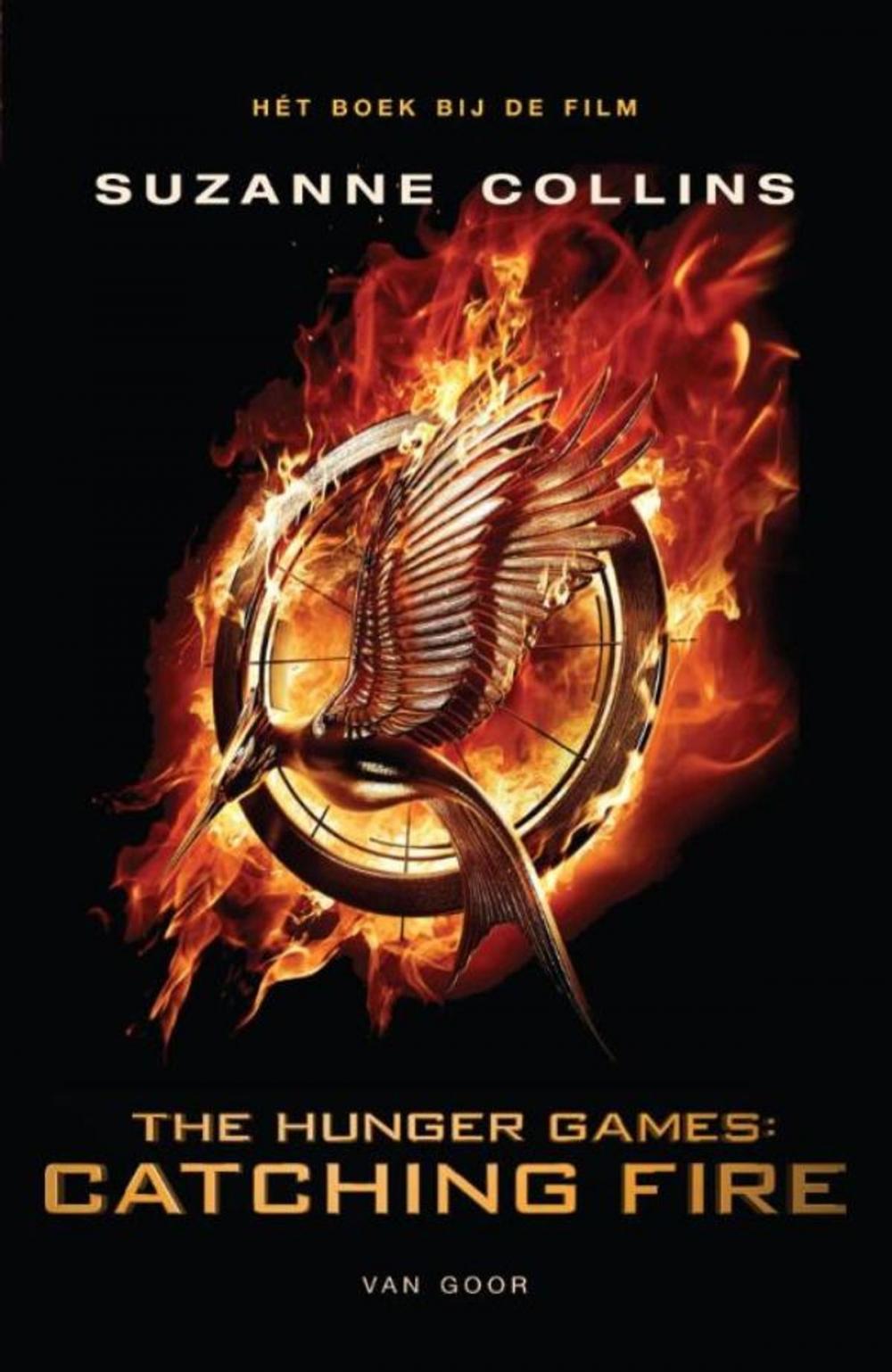 Big bigCover of Catching fire