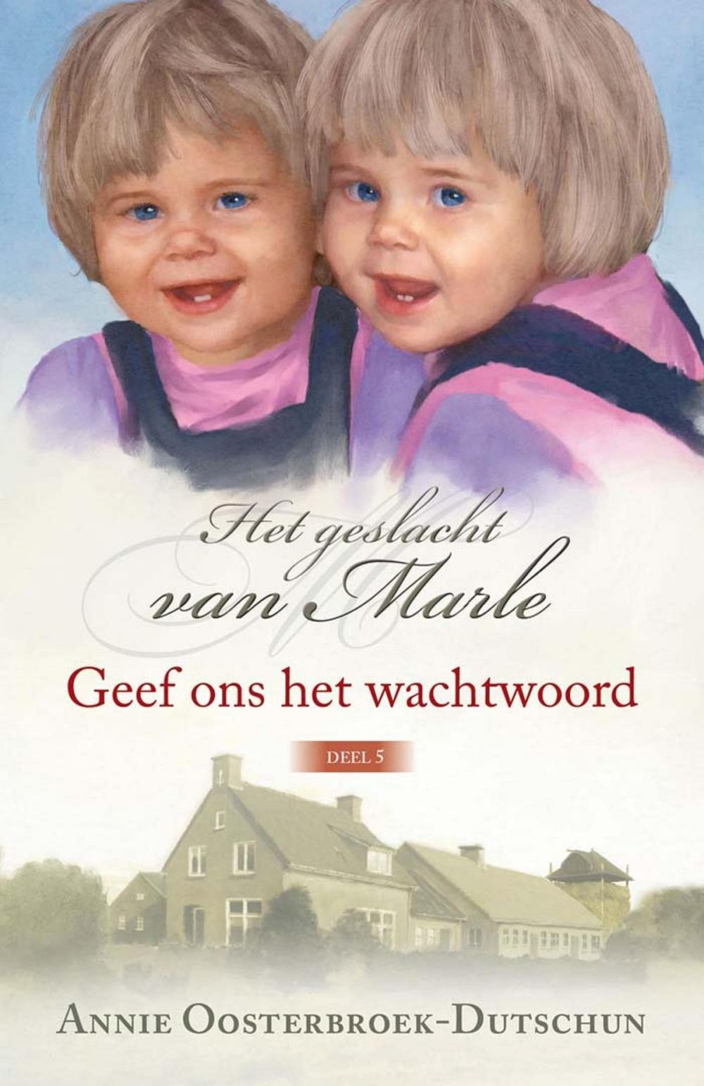 Big bigCover of Geef ons het wachtwoord