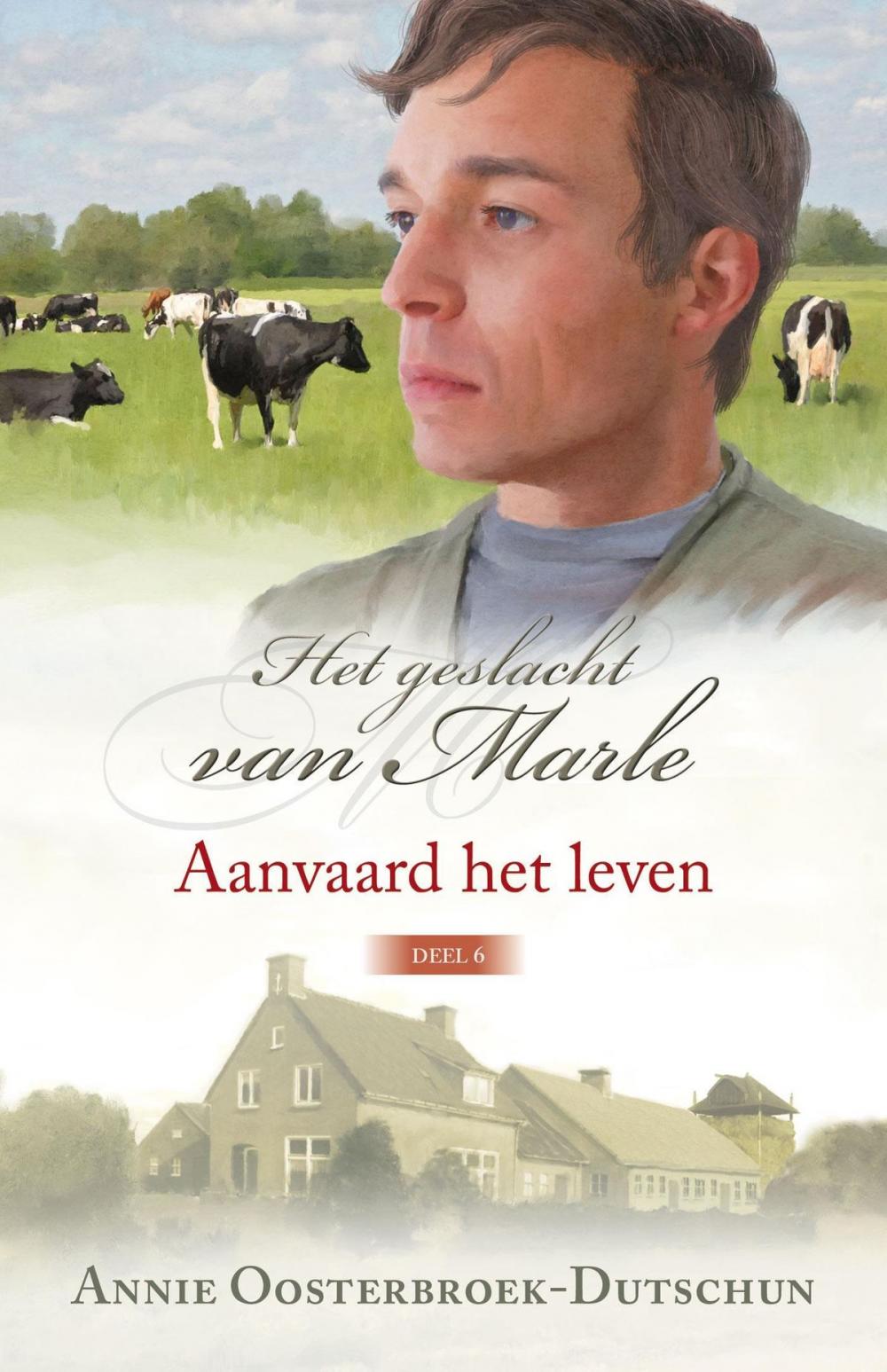 Big bigCover of Aanvaard het leven