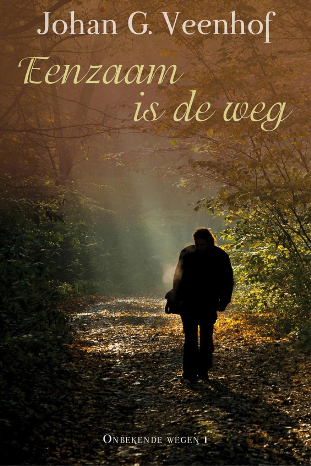 Big bigCover of Eenzaam is de weg