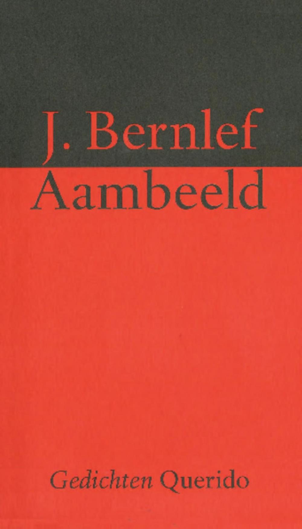 Big bigCover of Aambeeld