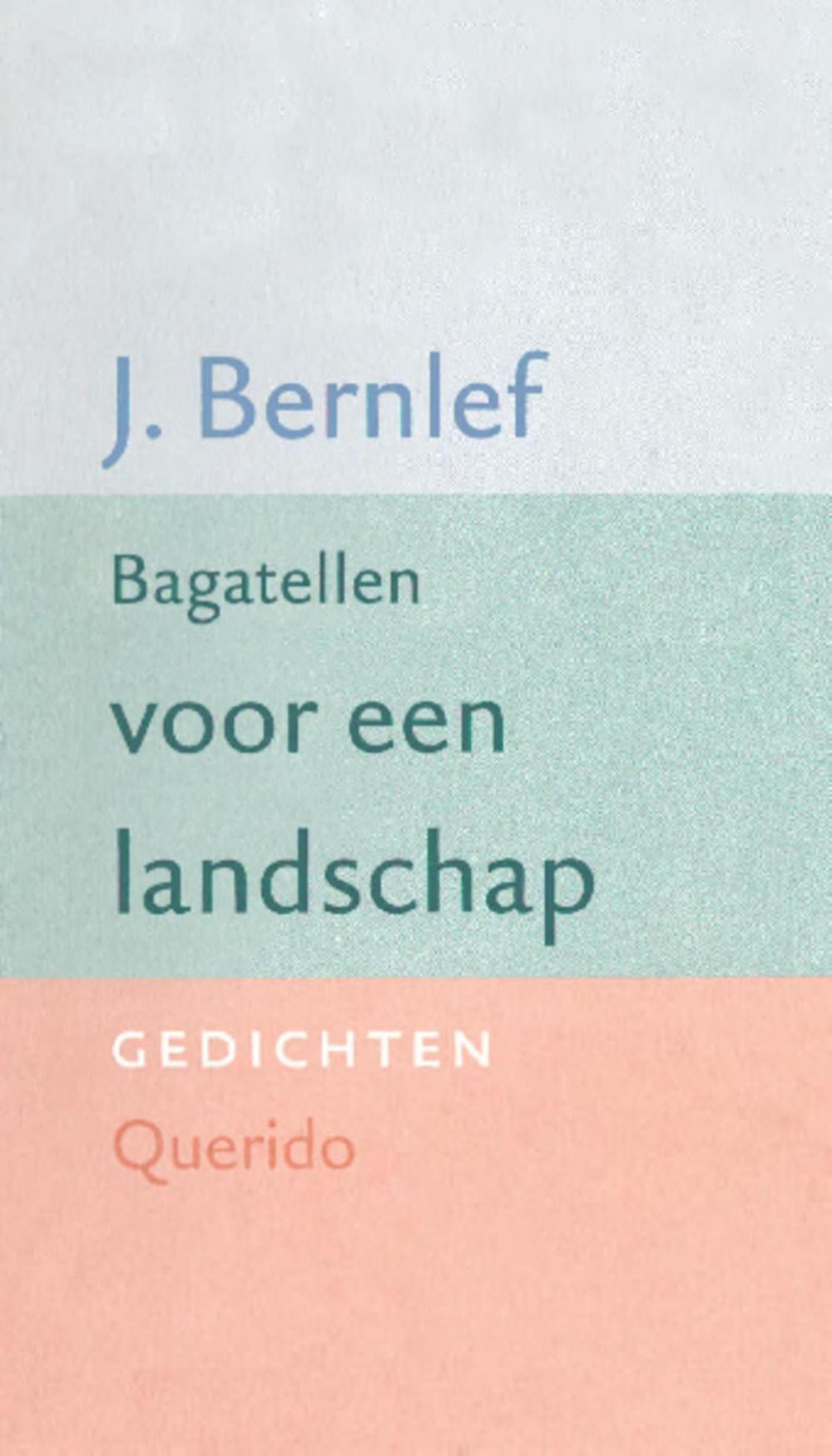 Big bigCover of Bagatellen voor een landschap