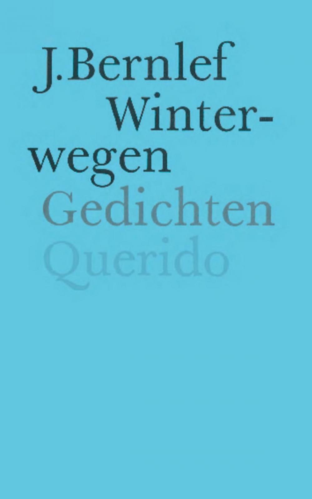 Big bigCover of Winterwegen