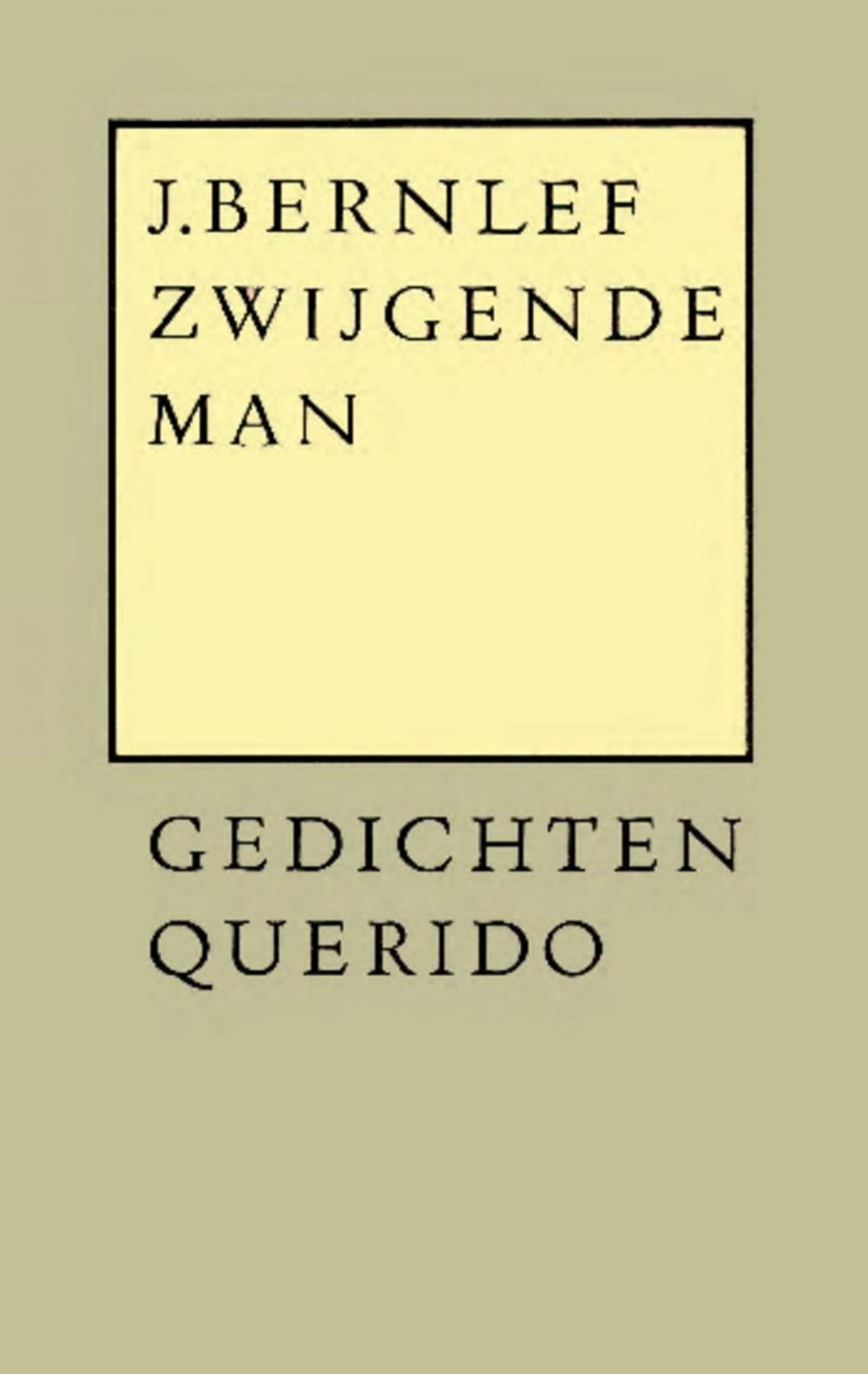 Big bigCover of Zwijgende man