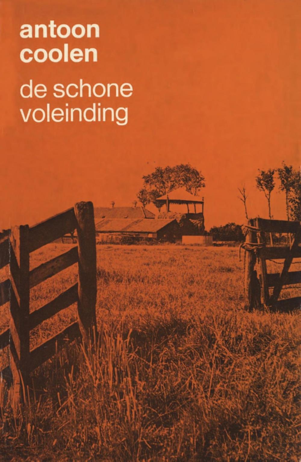 Big bigCover of De schoone voleinding