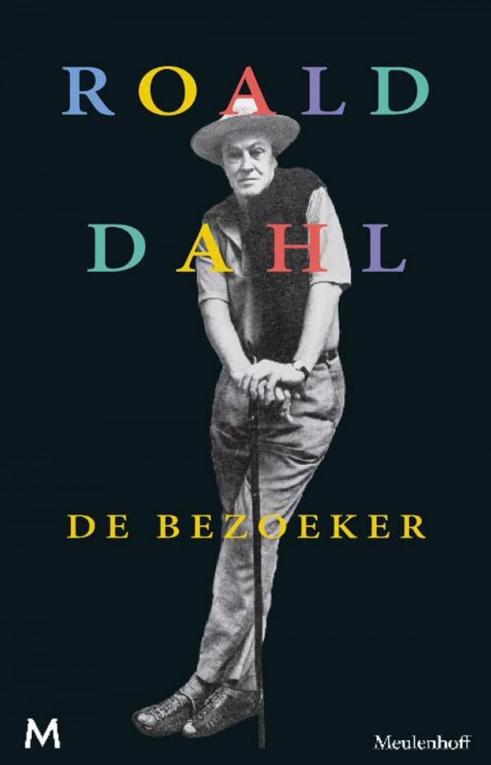 Big bigCover of De bezoeker